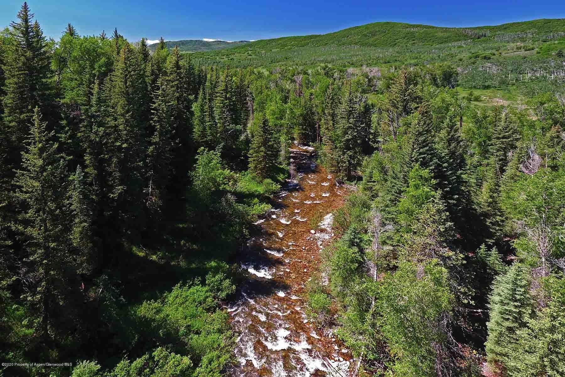 40875 County Road 36, Steamboat, CO 80487 - Photo 11