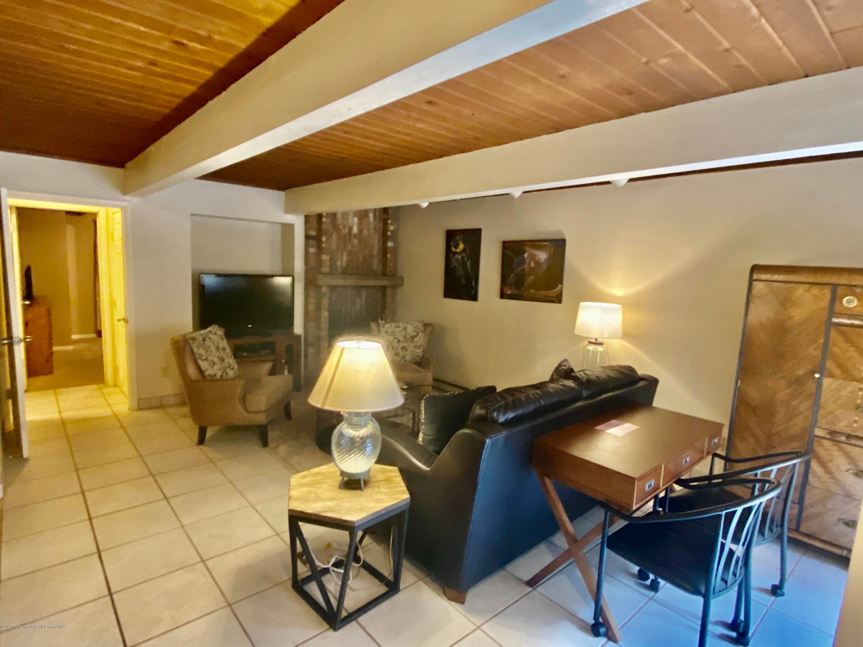 630 E cooper Avenue 5, Aspen, CO 81611 - Photo 13
