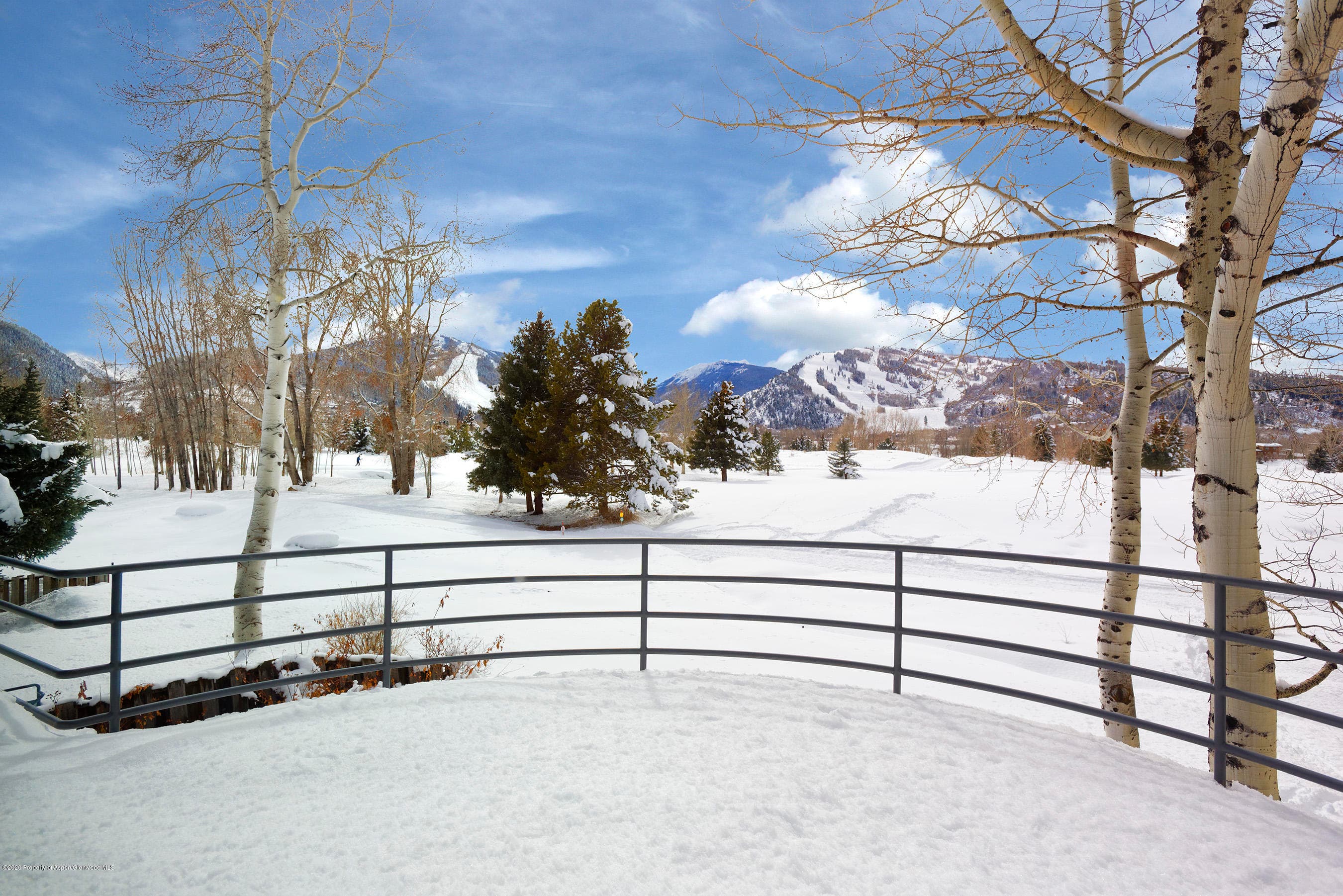 795 Cemetery Lane, Aspen, CO 81611 - Photo 26