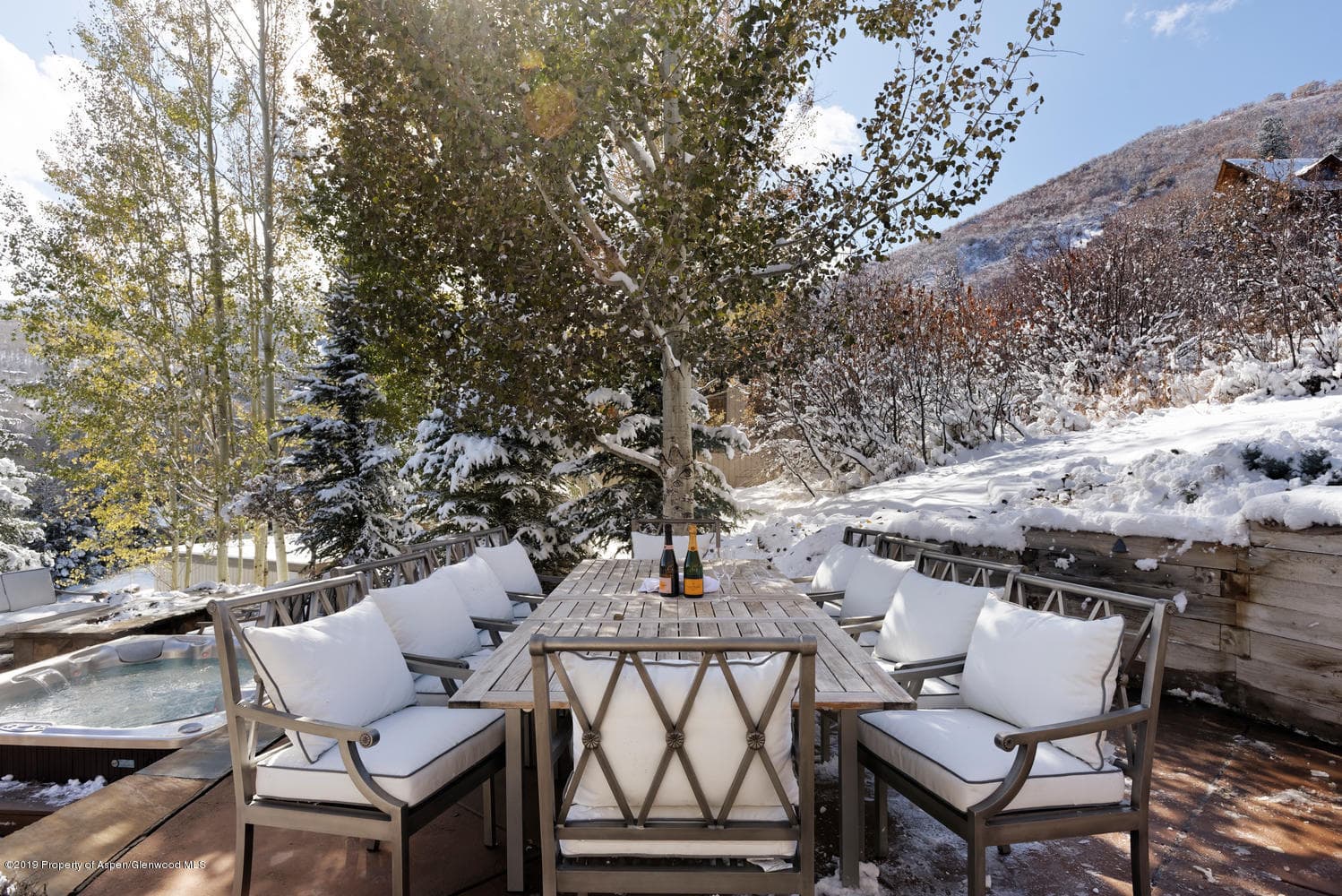 365 Terrace Drive, Snowmass Village, CO 81615 - Photo 9