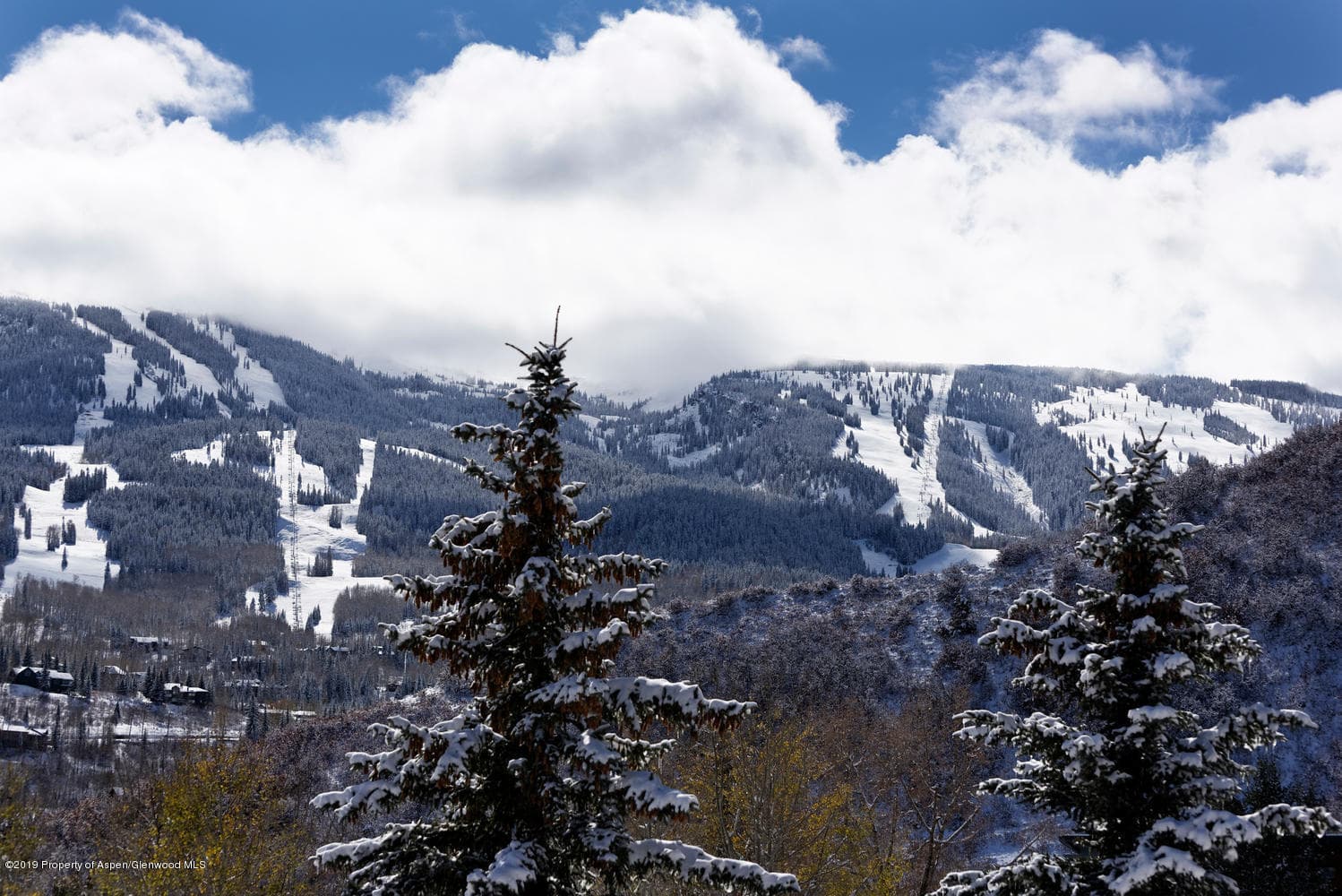 365 Terrace Drive, Snowmass Village, CO 81615 - Photo 29