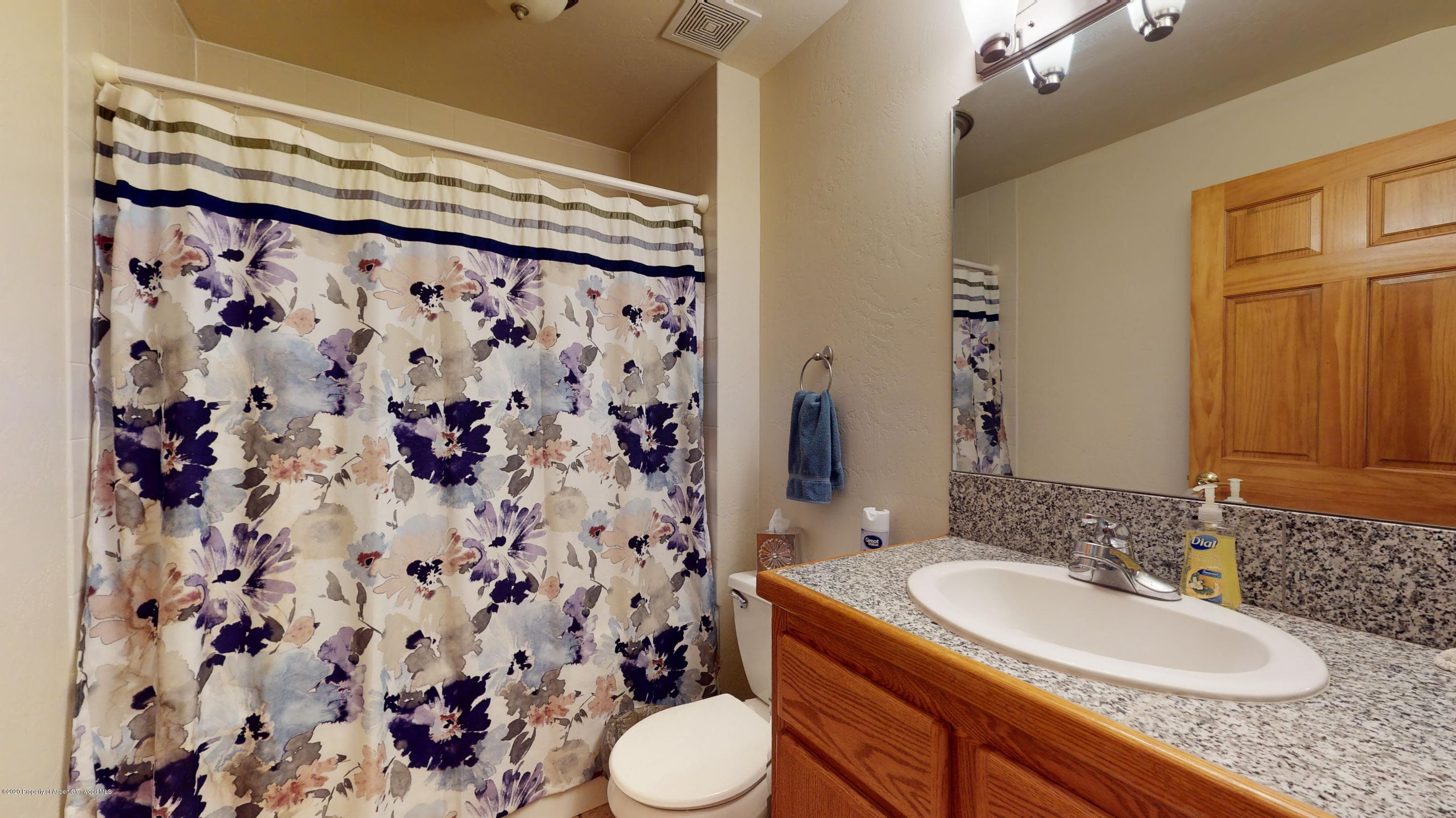 7 Gamba Drive, Glenwood Springs, CO 81601 - Photo 15