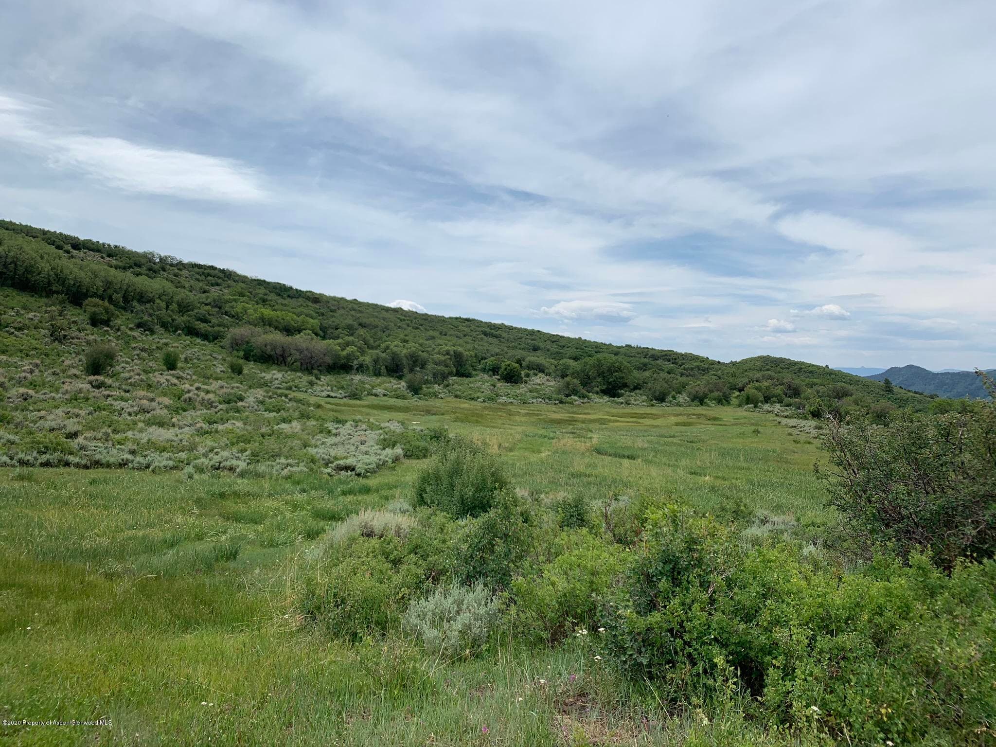 TBD WILD ACRES RANCH Road, Rifle, CO 81650 - Photo 19