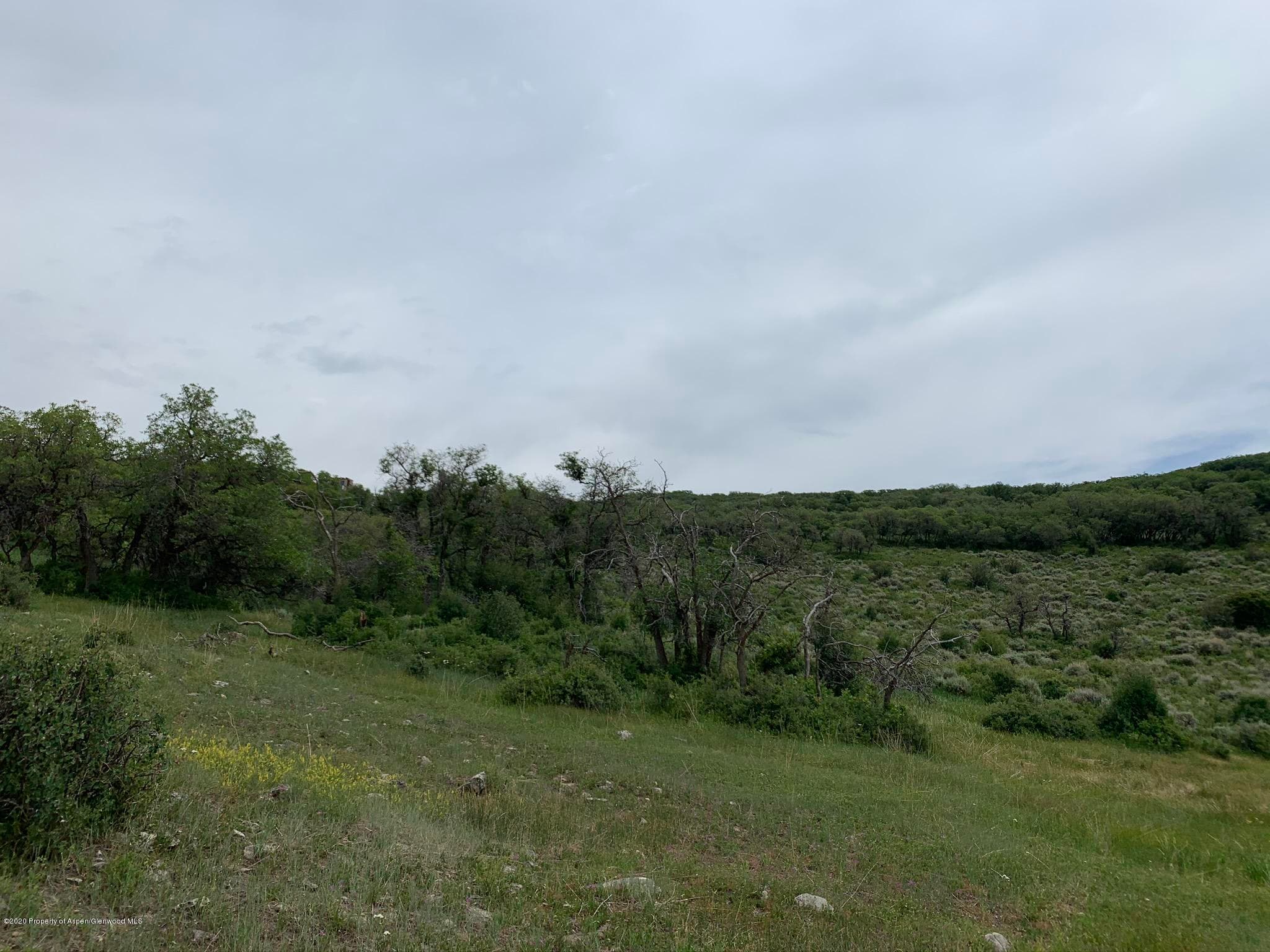TBD WILD ACRES RANCH Road, Rifle, CO 81650 - Photo 25