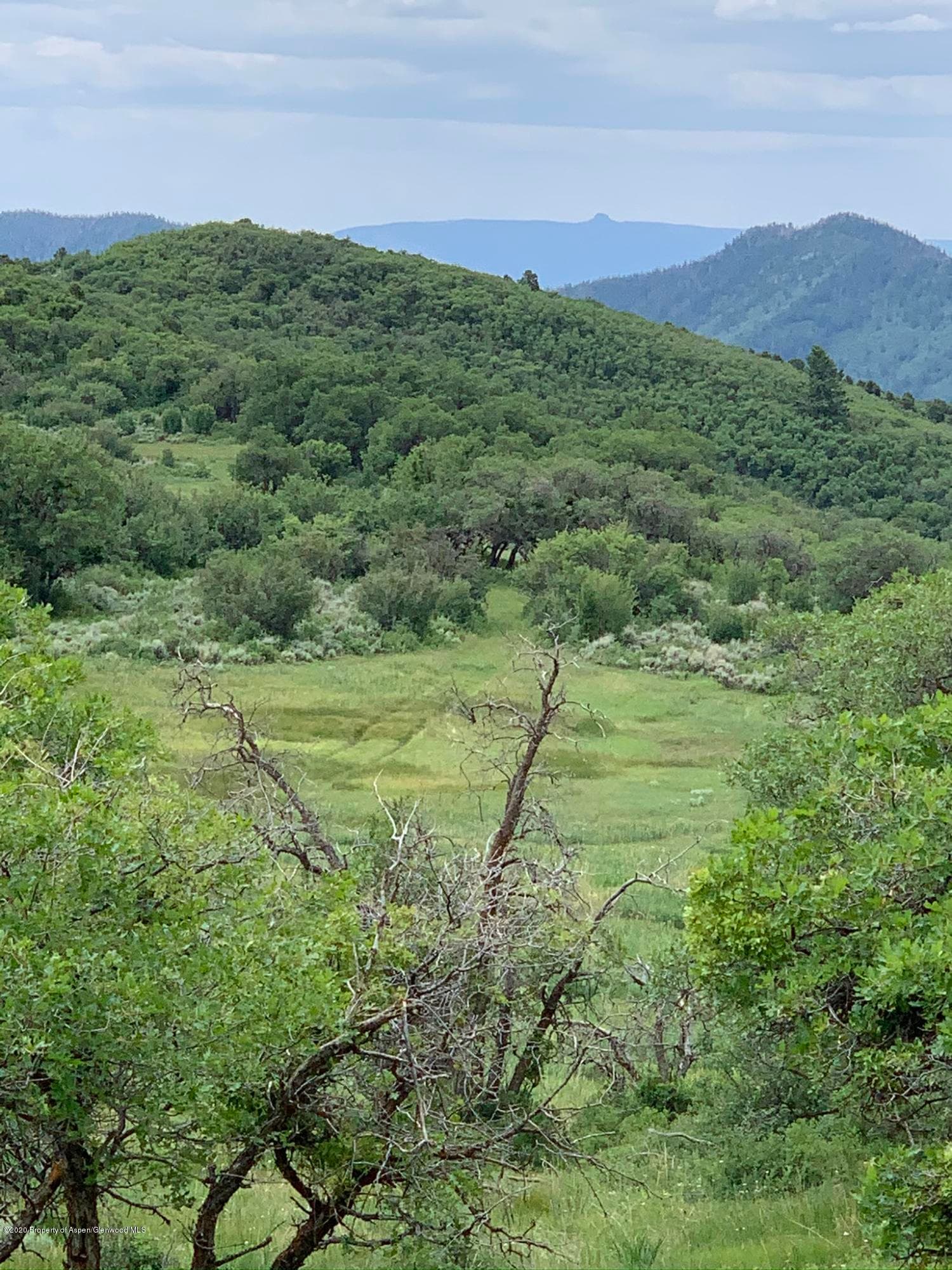 TBD WILD ACRES RANCH Road, Rifle, CO 81650 - Photo 28