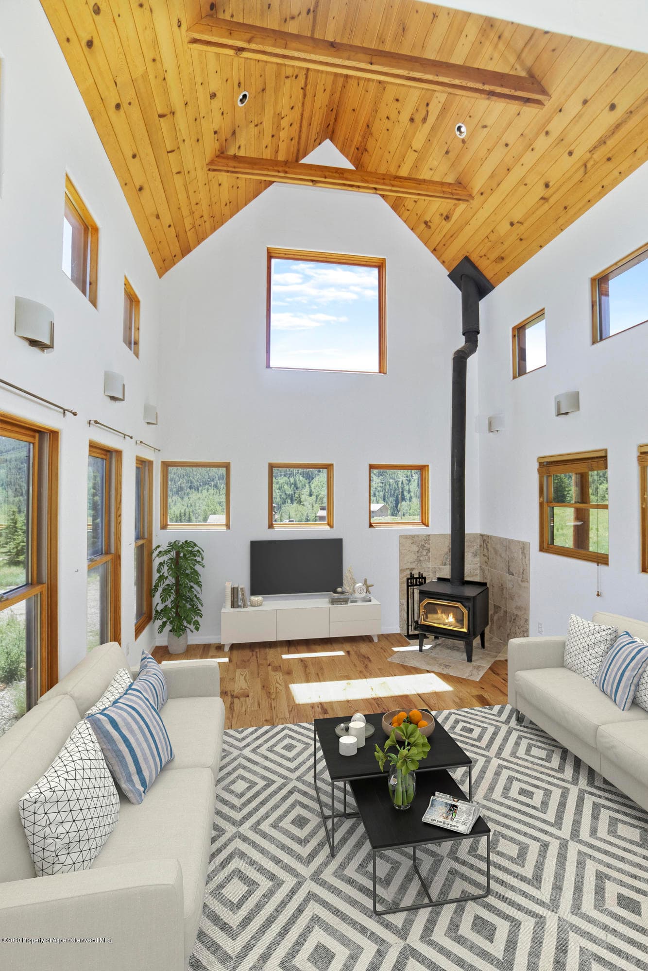 133 Hawk Lane, Basalt, CO 81621 - Photo 9