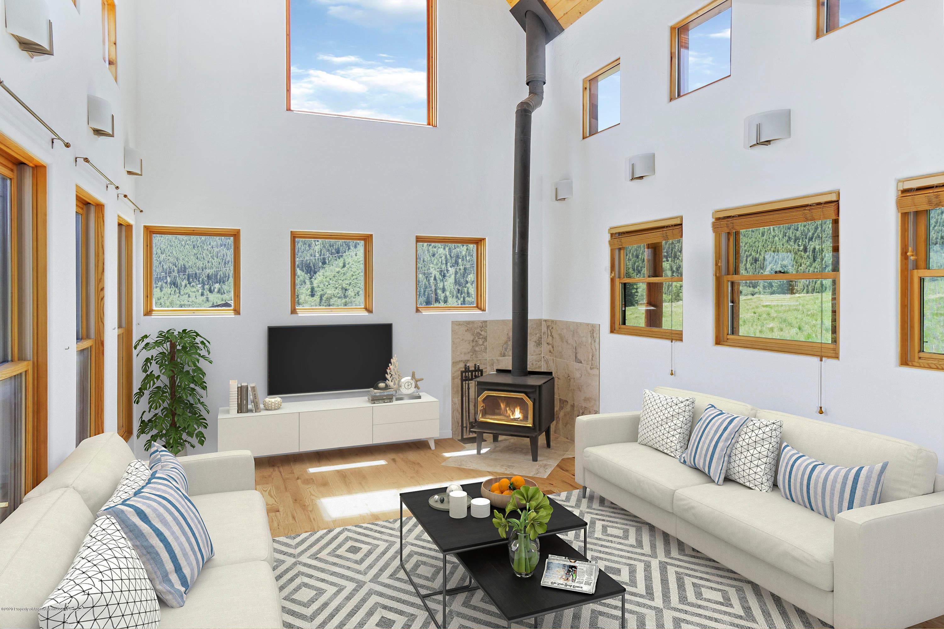 133 Hawk Lane, Basalt, CO 81621 - Photo 11