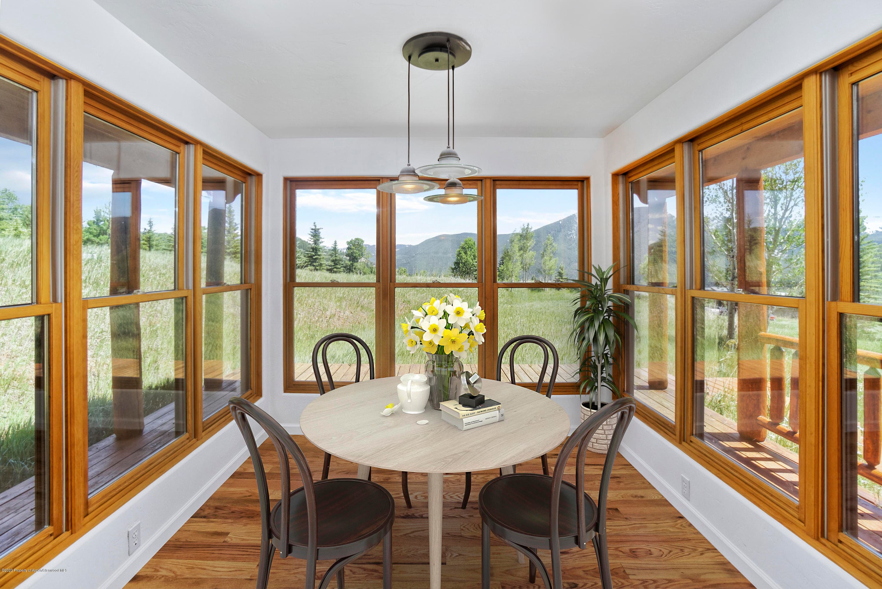 133 Hawk Lane, Basalt, CO 81621 - Photo 18