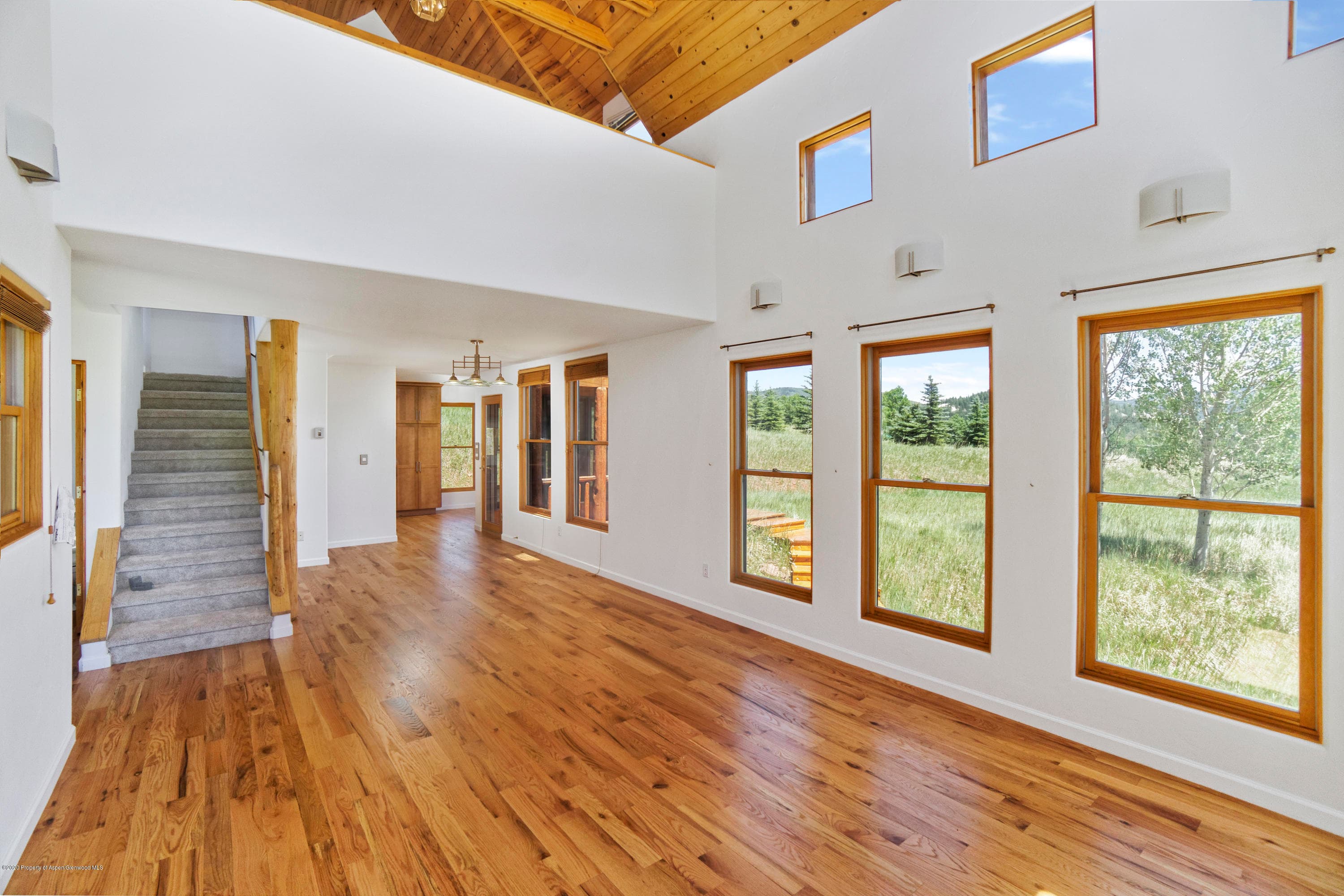 133 Hawk Lane, Basalt, CO 81621 - Photo 15