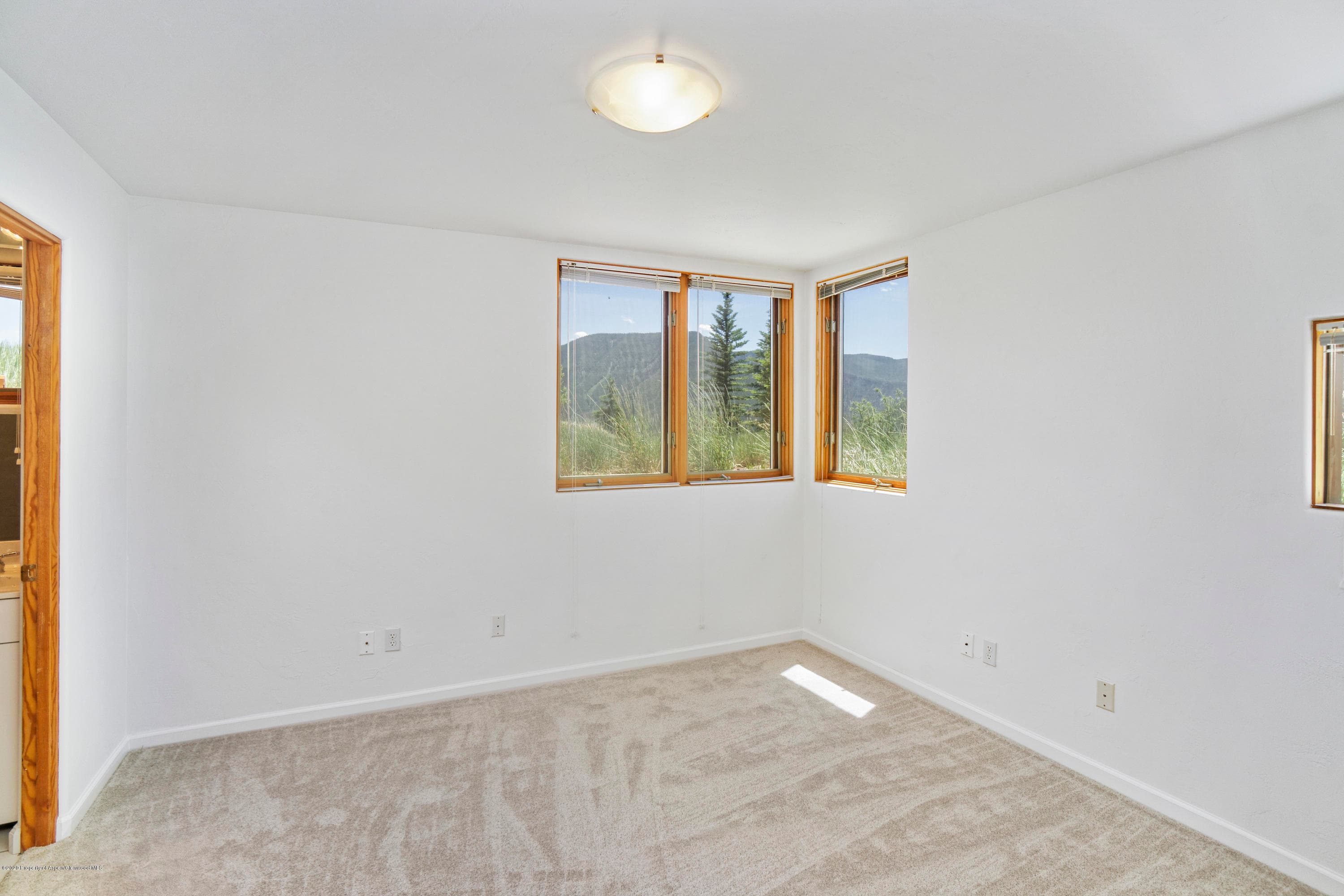 133 Hawk Lane, Basalt, CO 81621 - Photo 27