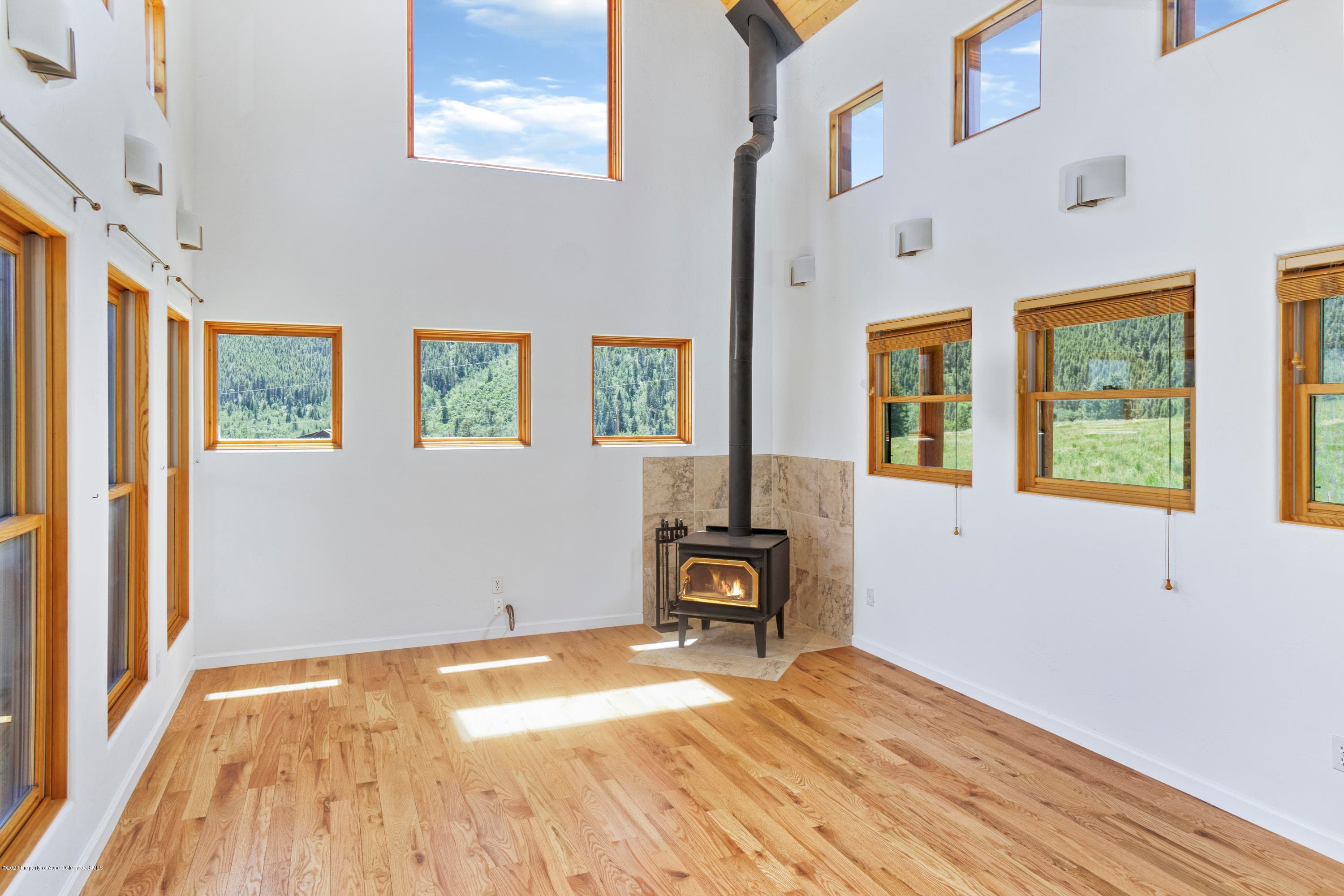 133 Hawk Lane, Basalt, CO 81621 - Photo 12