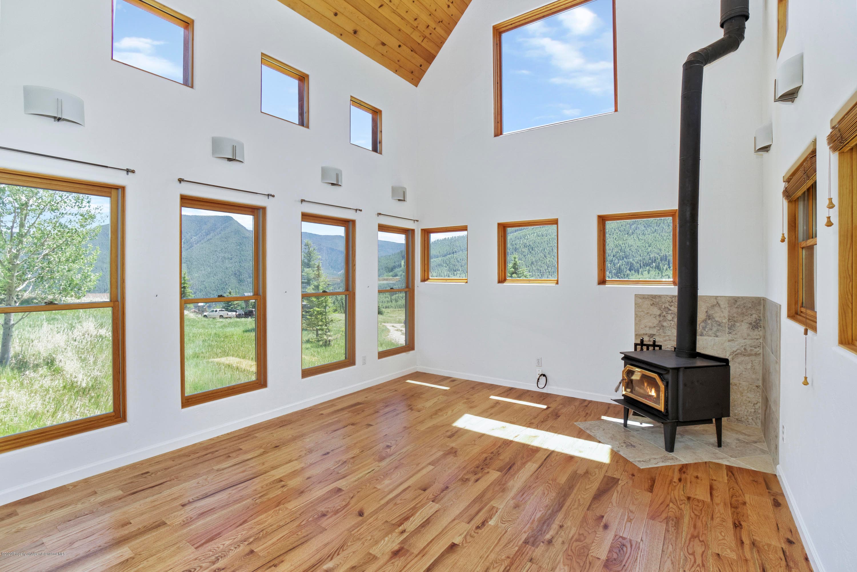 133 Hawk Lane, Basalt, CO 81621 - Photo 10