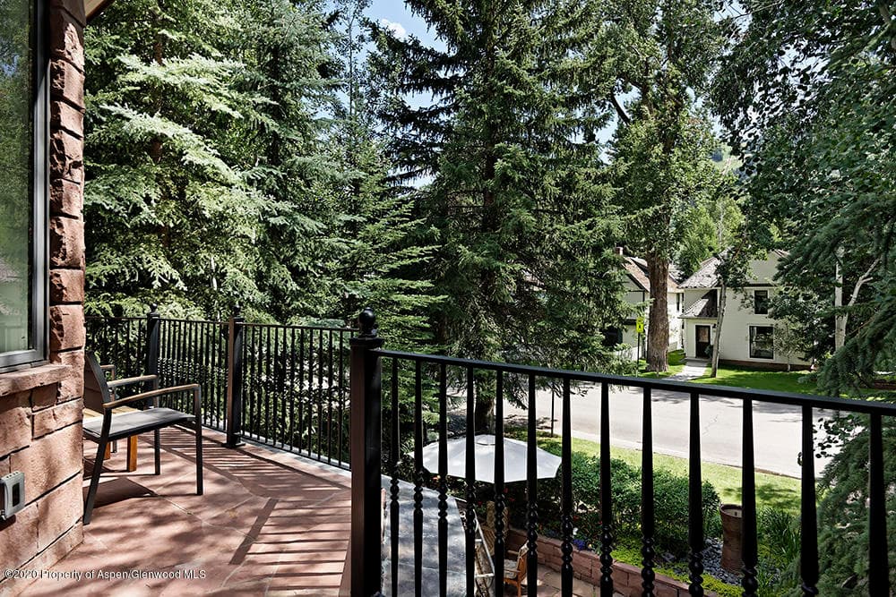 234 W Hallam Street, Aspen, CO 81611 - Photo 14