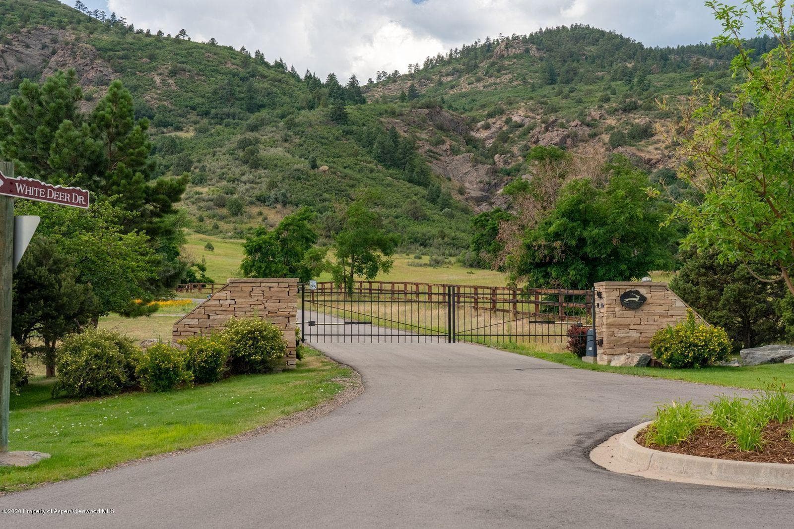 12531 White Deer Drive, Littleton, CO 80127 - Photo 2
