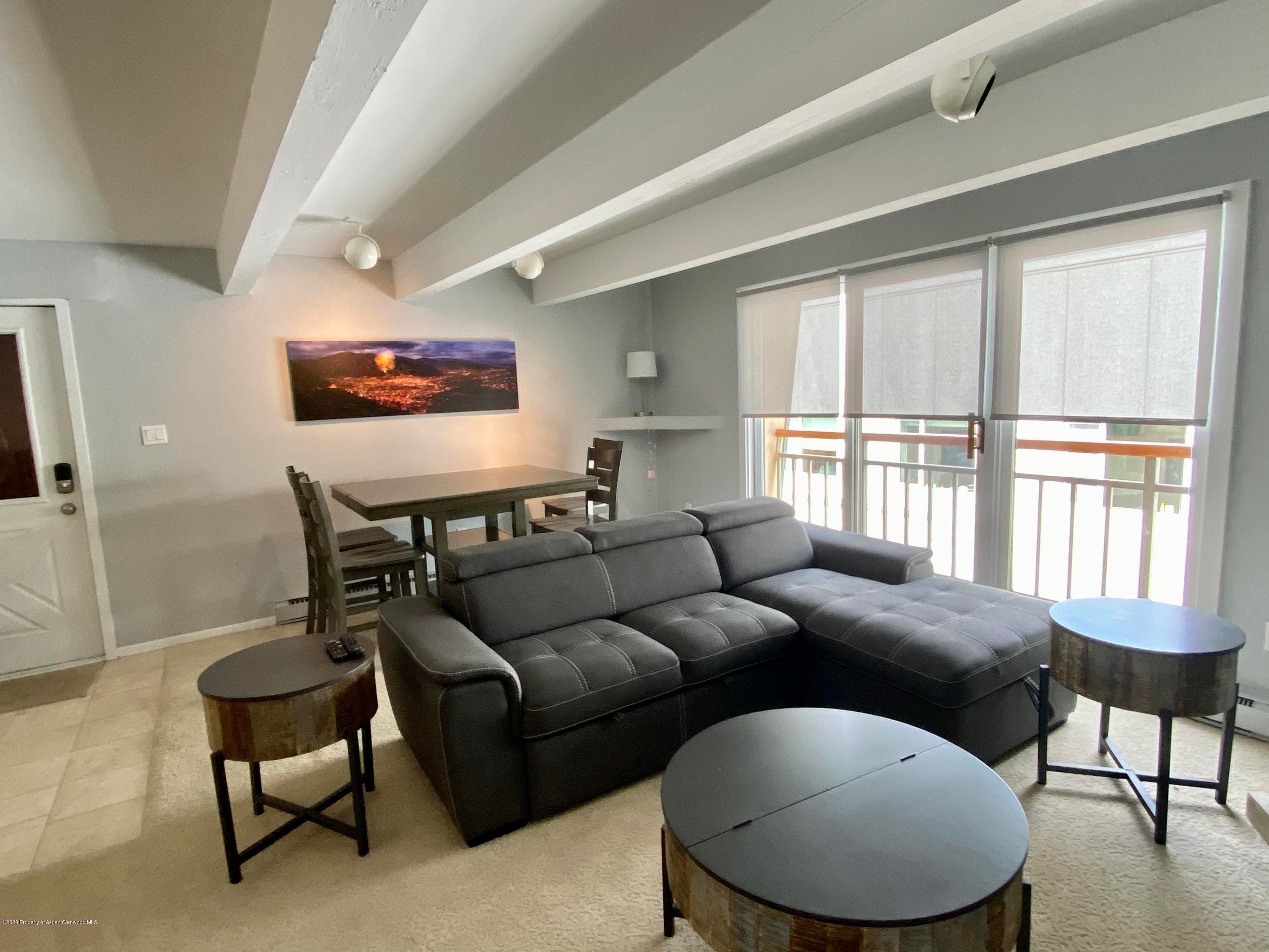 630 E Cooper Avenue 18, Aspen, CO 81611