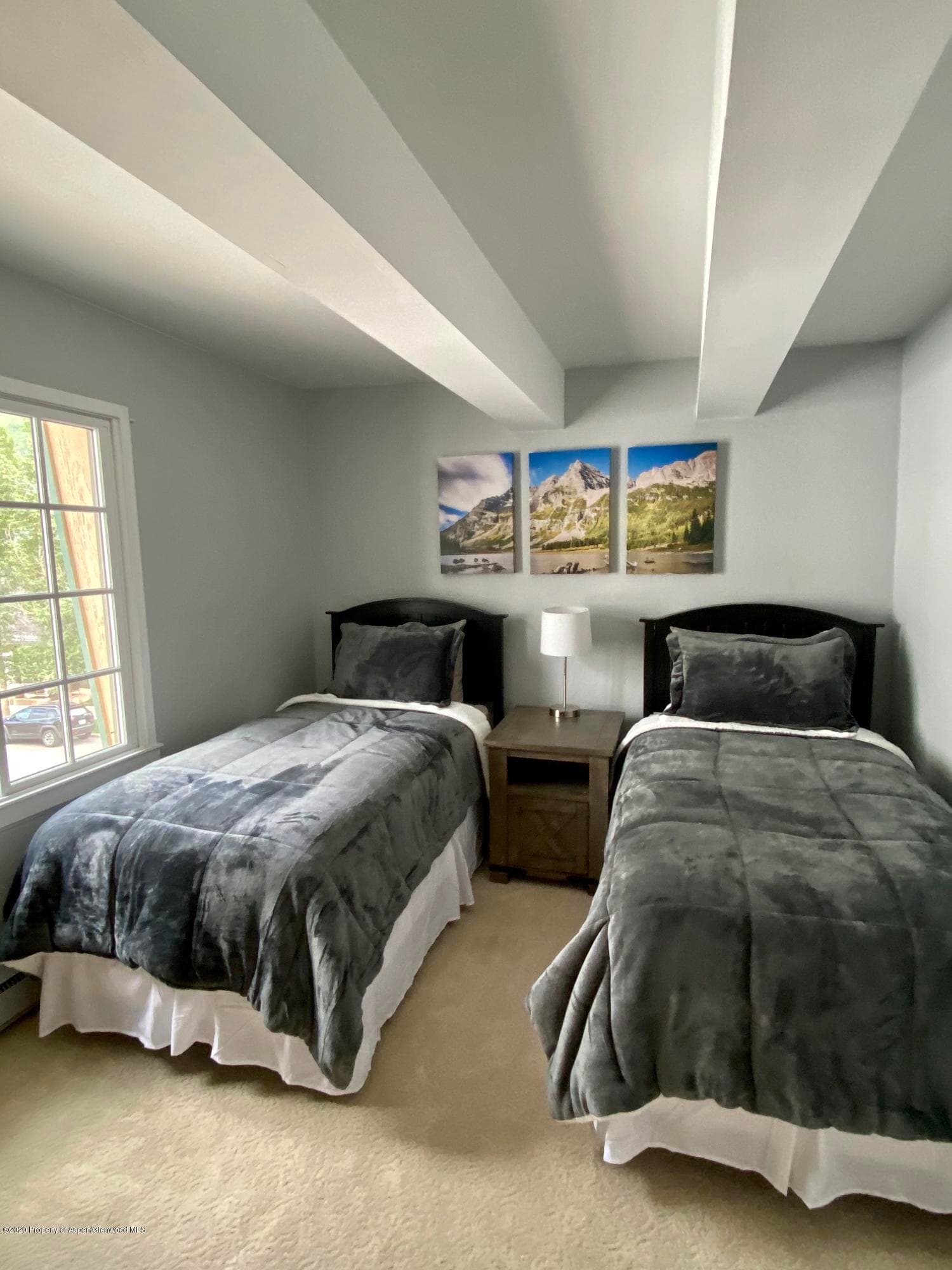 630 E Cooper Avenue 18, Aspen, CO 81611 - Photo 7