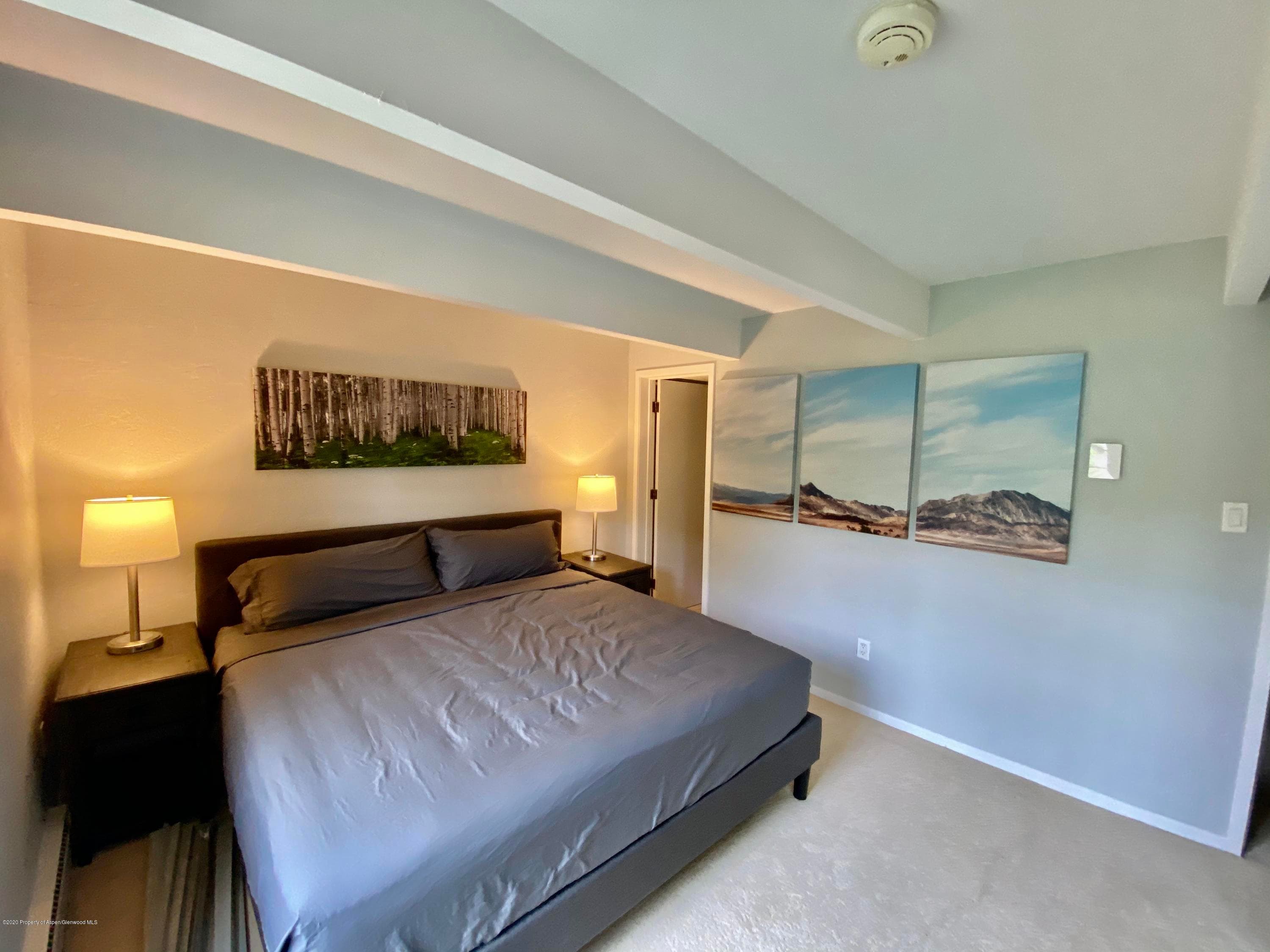 630 E Cooper Avenue 18, Aspen, CO 81611 - Photo 5