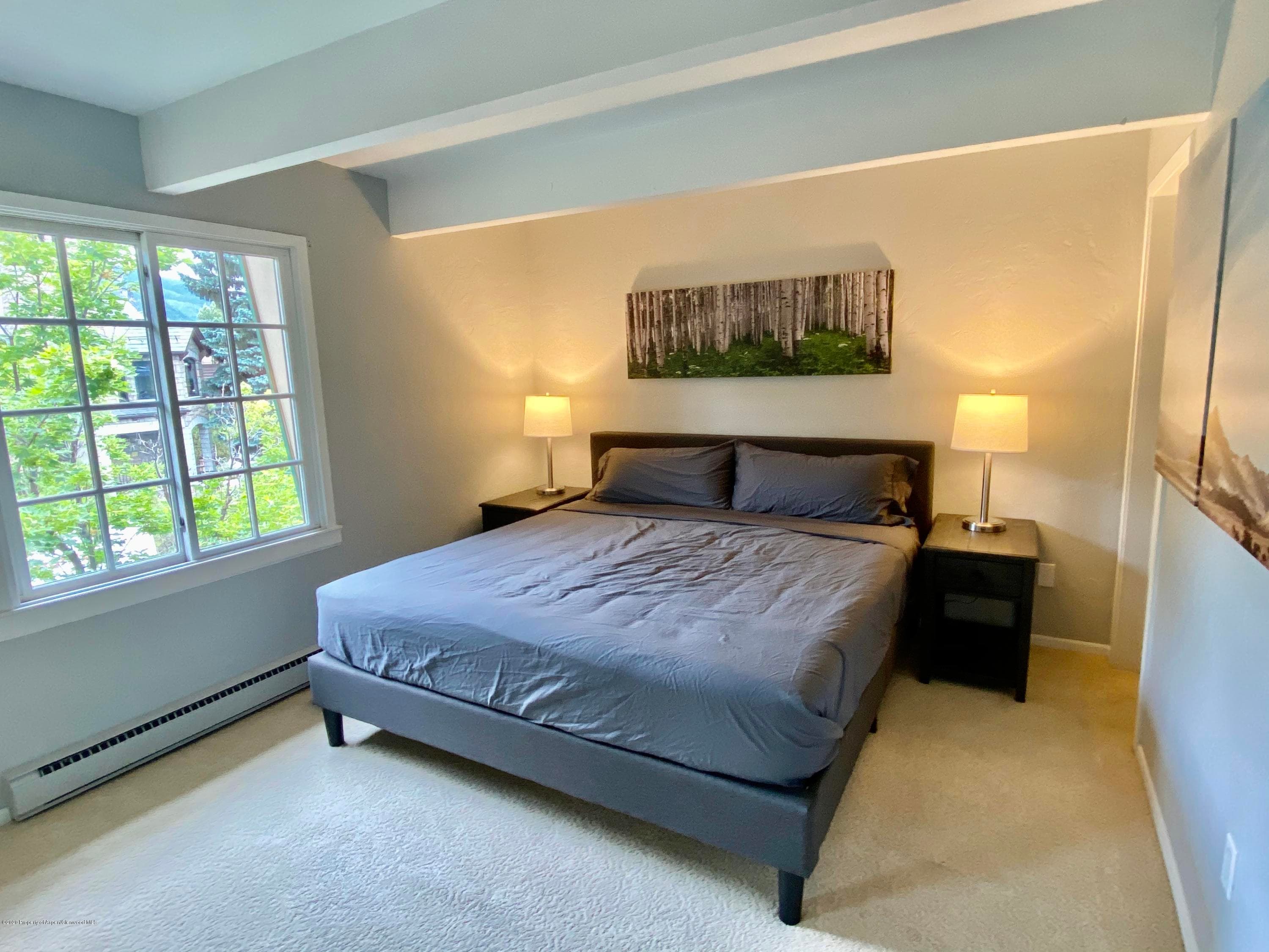 630 E Cooper Avenue 18, Aspen, CO 81611 - Photo 6