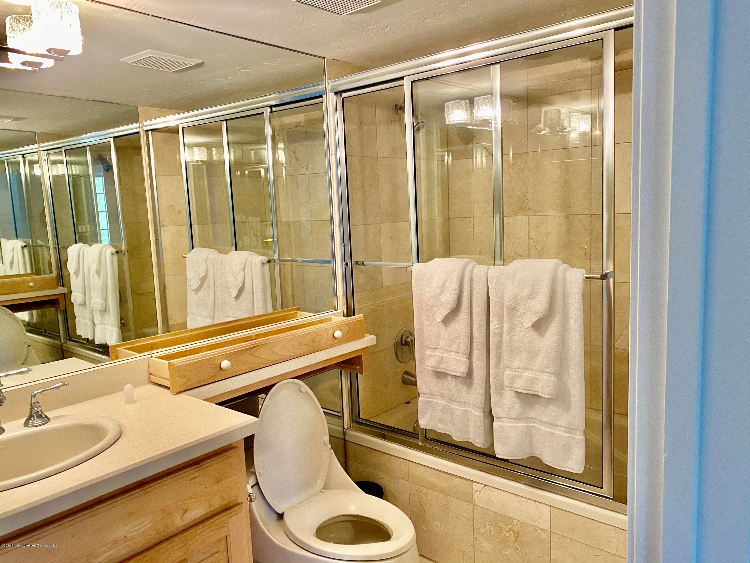 630 E Cooper Avenue 18, Aspen, CO 81611 - Photo 8