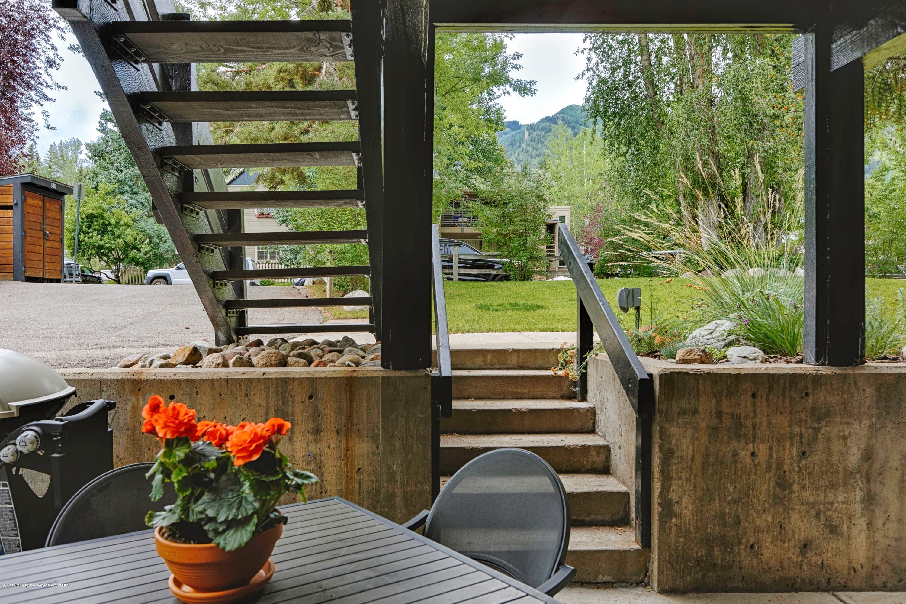 824 E Hopkins Avenue, Aspen, CO 81611 - Photo 2