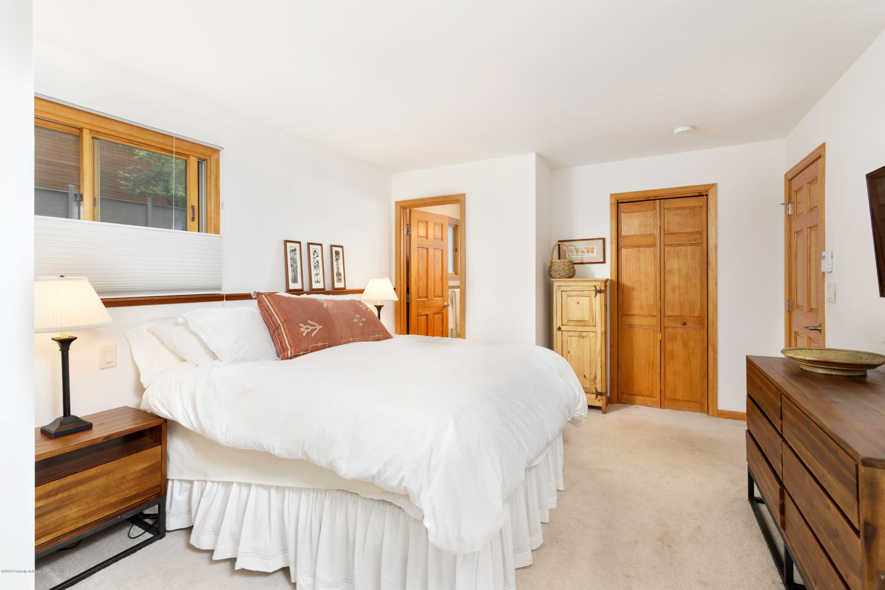 824 E Hopkins Avenue, Aspen, CO 81611 - Photo 13