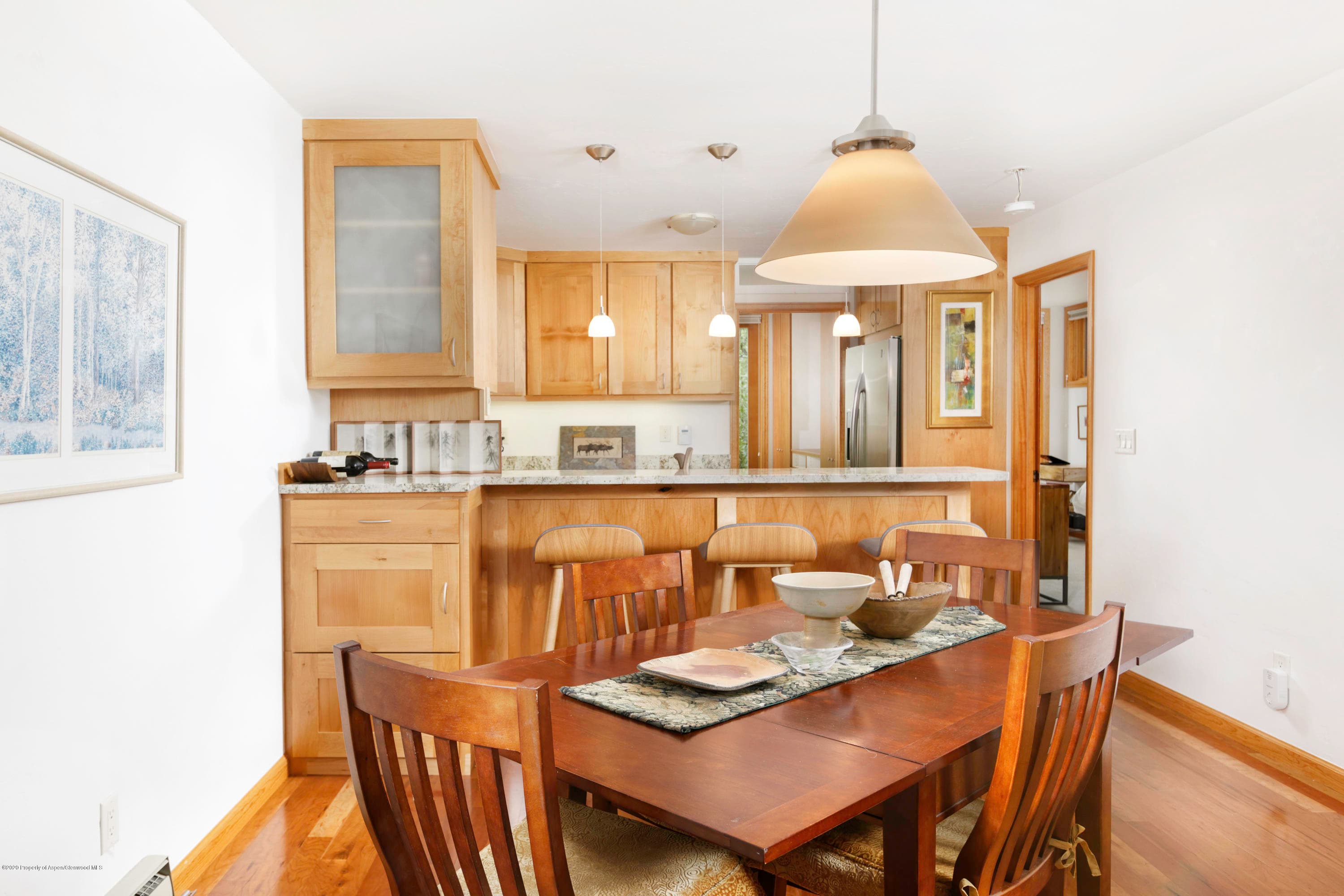 824 E Hopkins Avenue, Aspen, CO 81611 - Photo 5