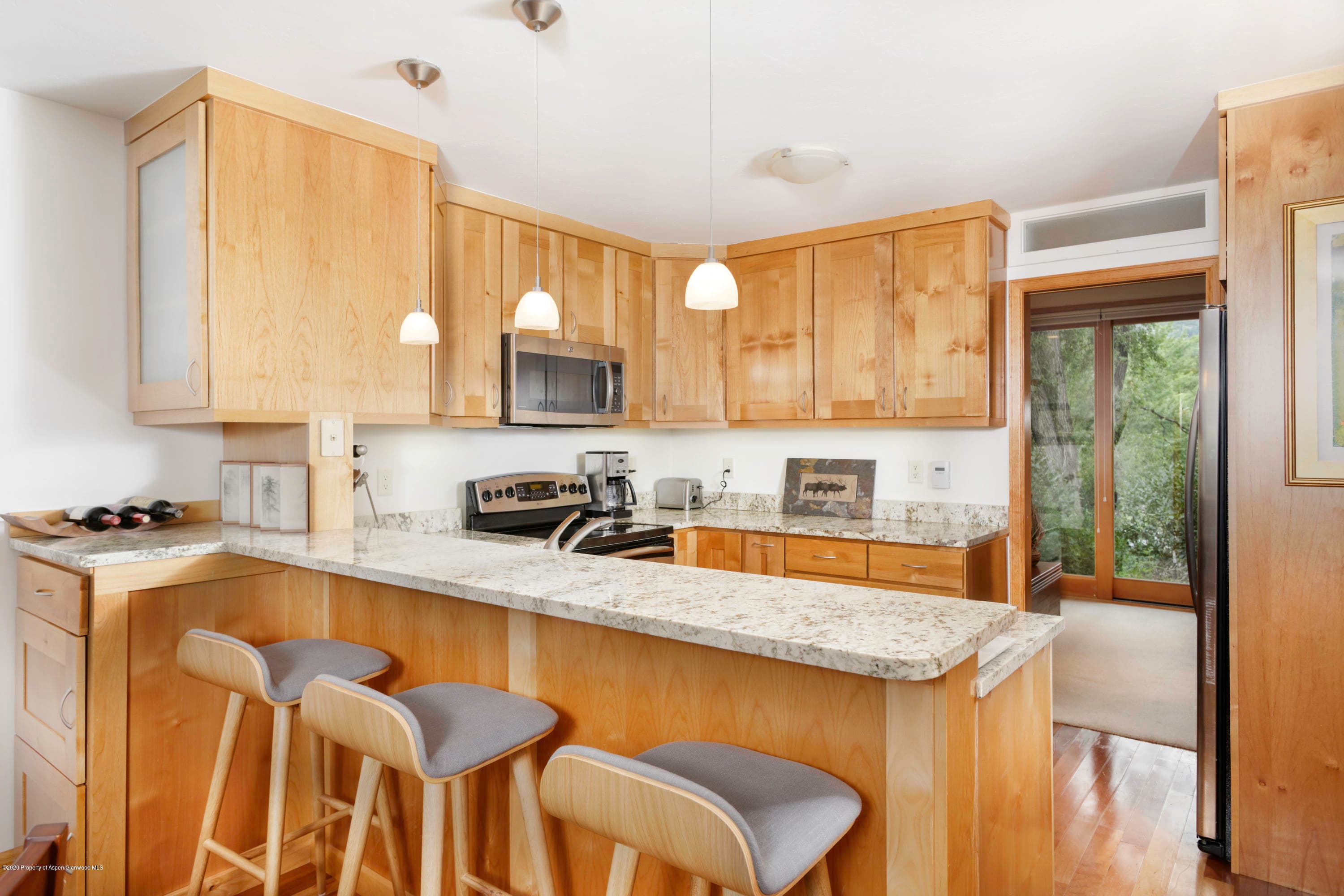 824 E Hopkins Avenue, Aspen, CO 81611 - Photo 6