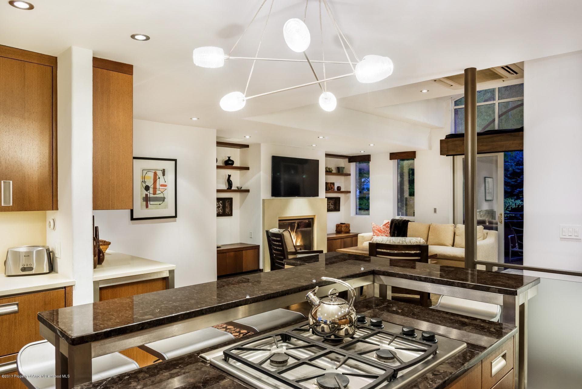 342 Summit Street B, Aspen, CO 81611 - Photo 10