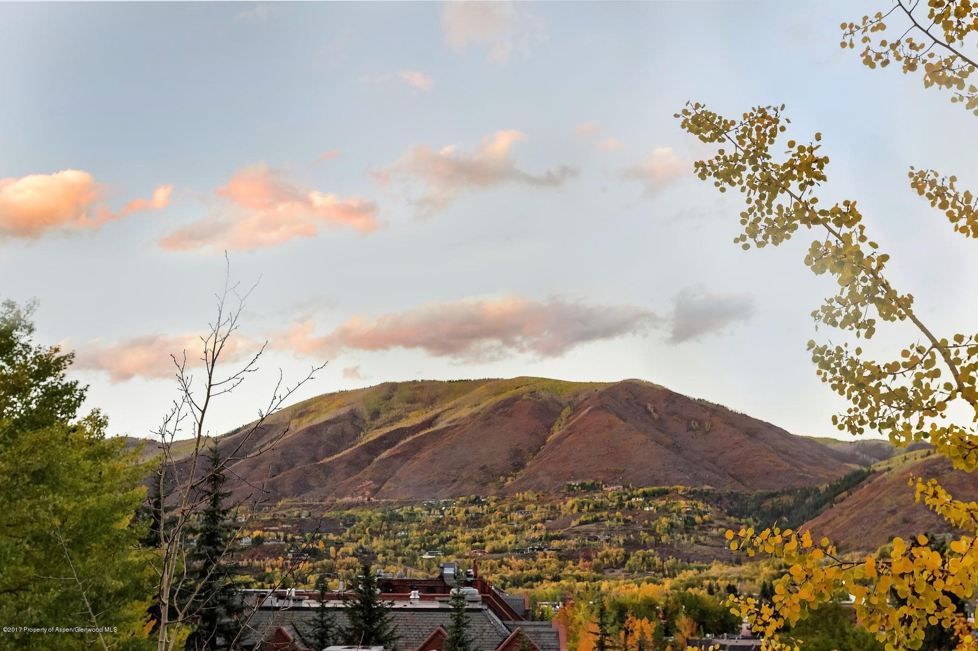 342 Summit Street B, Aspen, CO 81611 - Photo 30