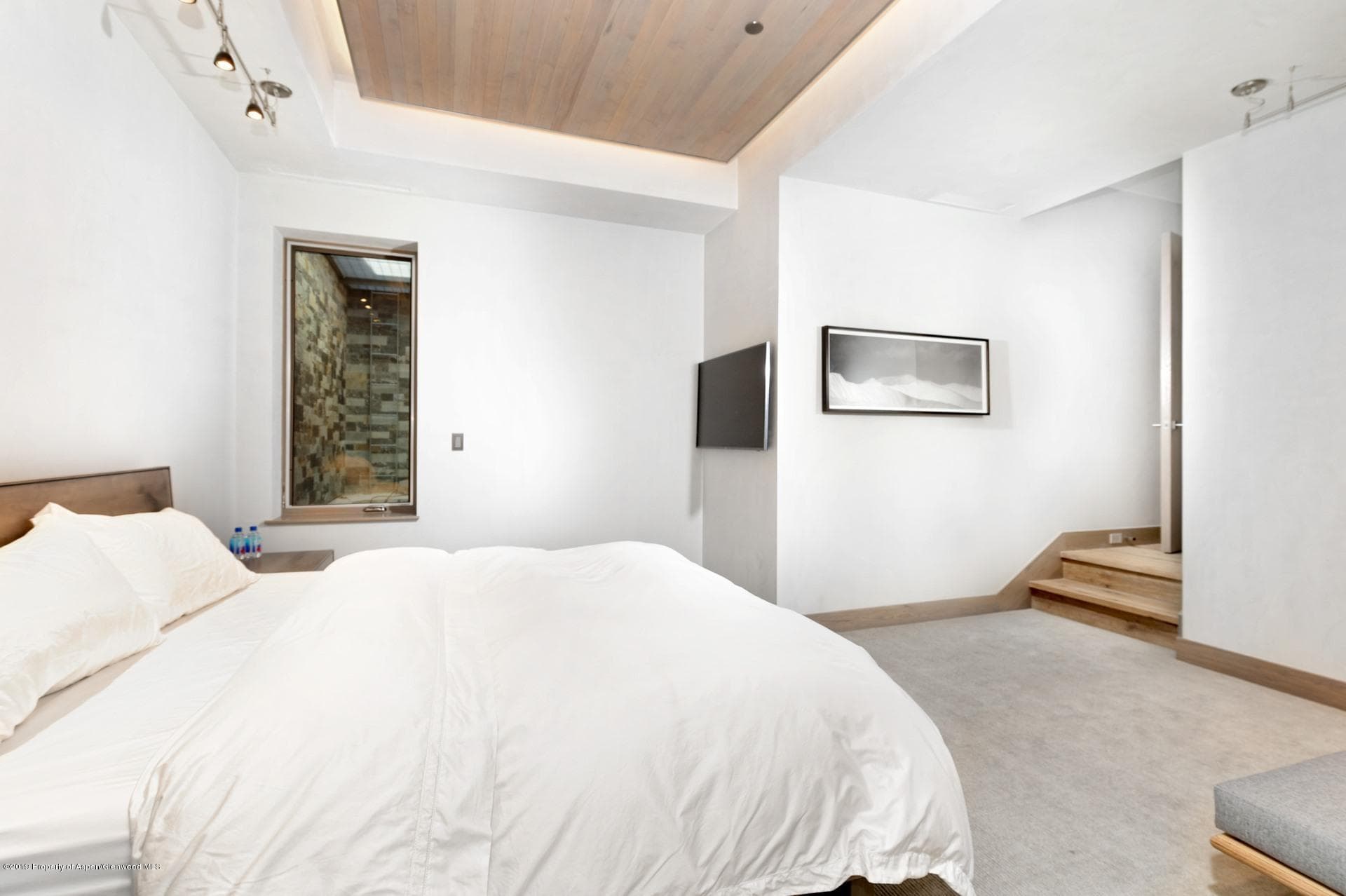217 S Third Street, Aspen, CO 81611 - Photo 16