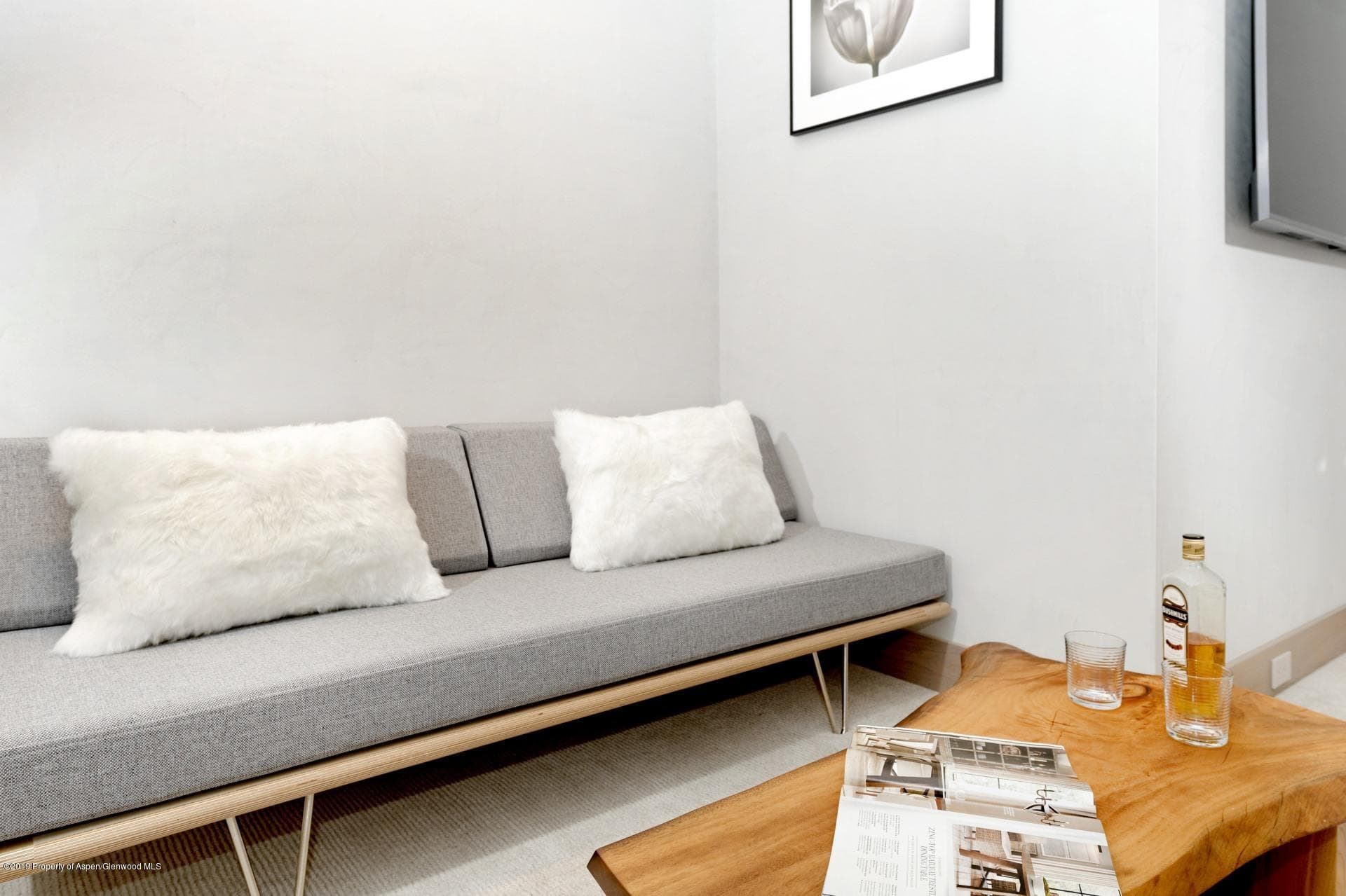 217 S Third Street, Aspen, CO 81611 - Photo 19