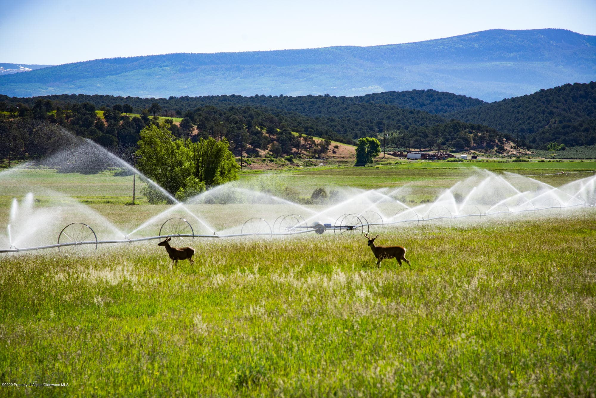 TBD MJN Ranch Lot D, Carbondale, CO 81623 - Photo 3