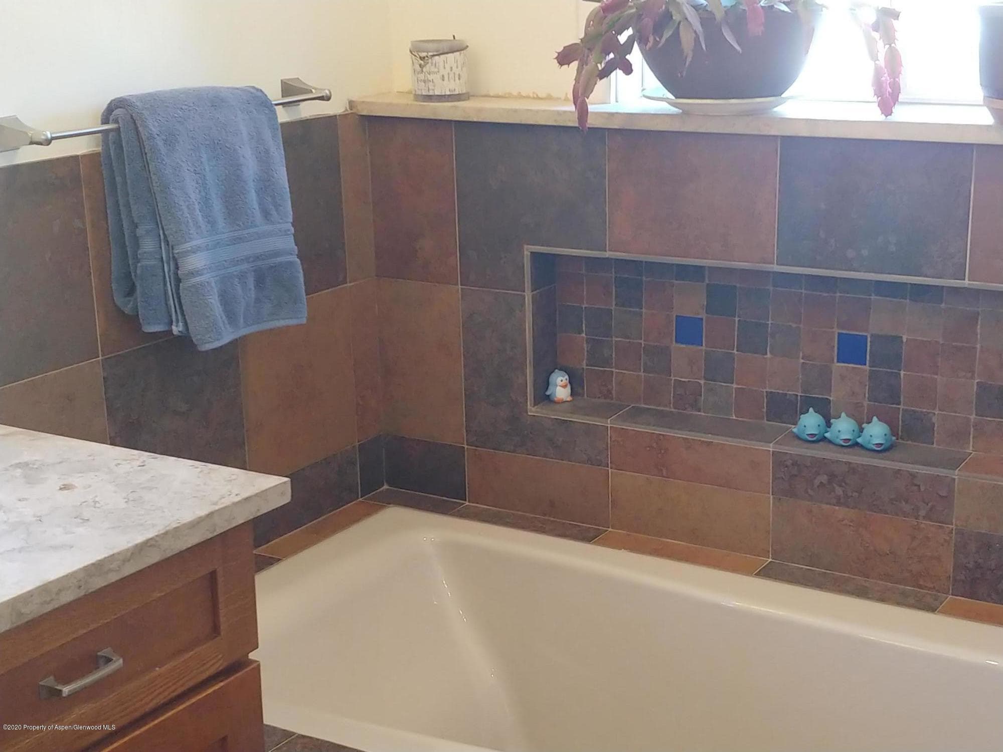 21 Crystal Circle, Carbondale, CO 81623 - Photo 21