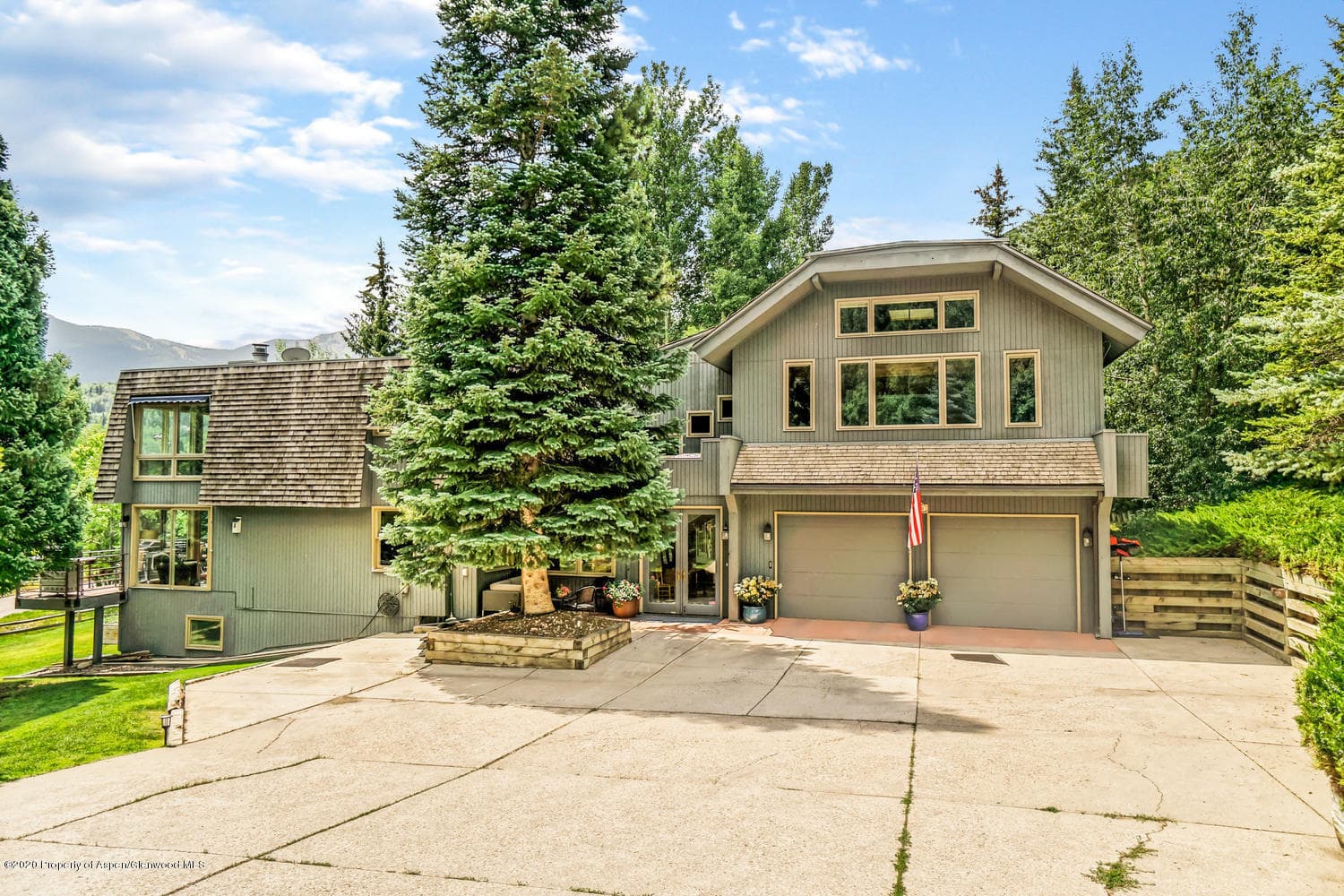 590 Meadow Road, Snowmass Village, CO 81615 - Photo 9