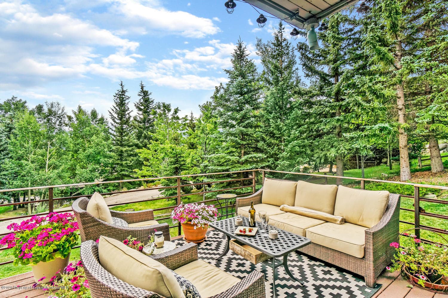 590 Meadow Road, Snowmass Village, CO 81615 - Photo 7