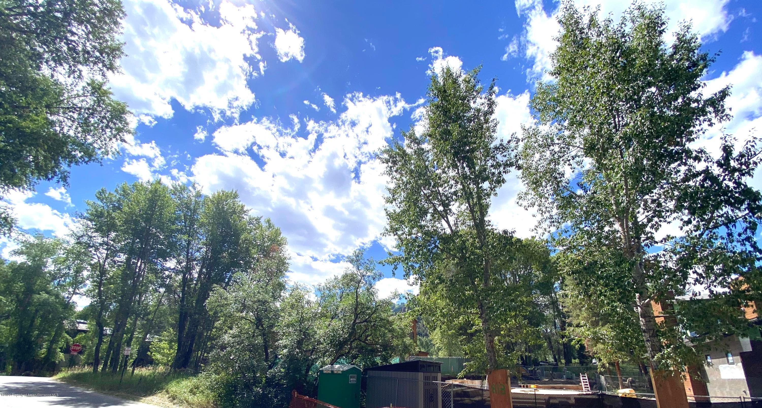 810 W Smuggler Street, Aspen, CO 81611 - Photo 2