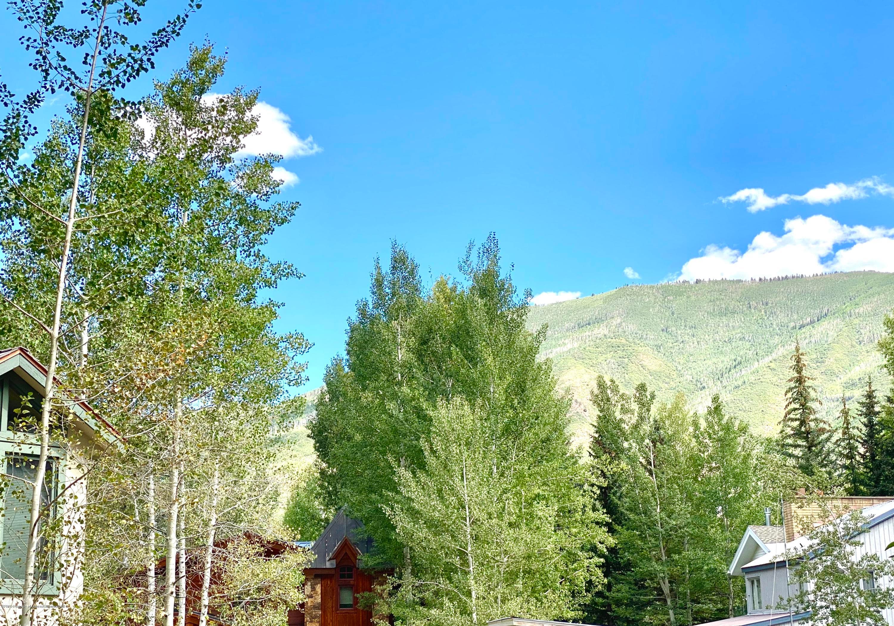 810 W Smuggler Street, Aspen, CO 81611 - Photo 7