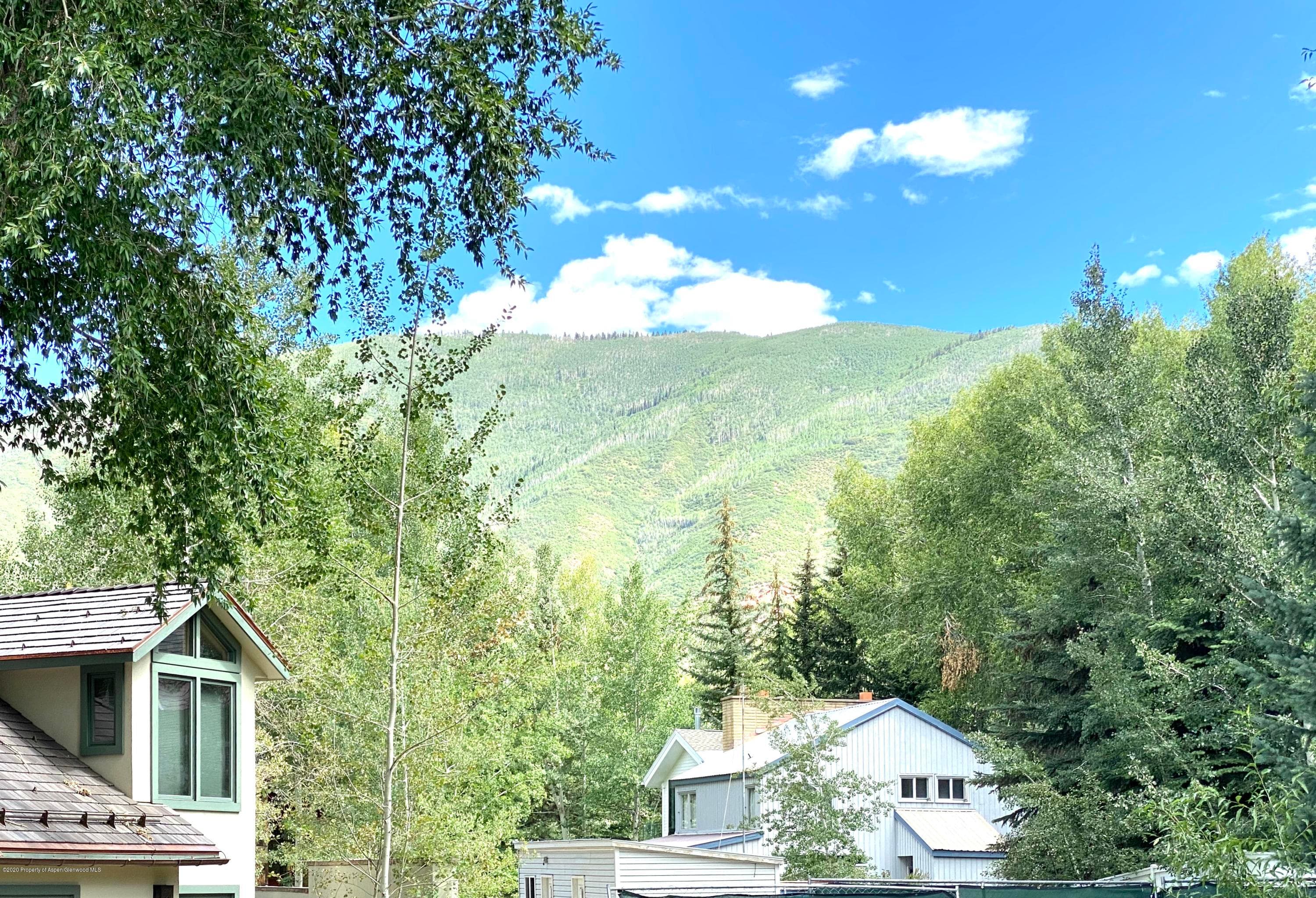 810 W Smuggler Street, Aspen, CO 81611 - Photo 5