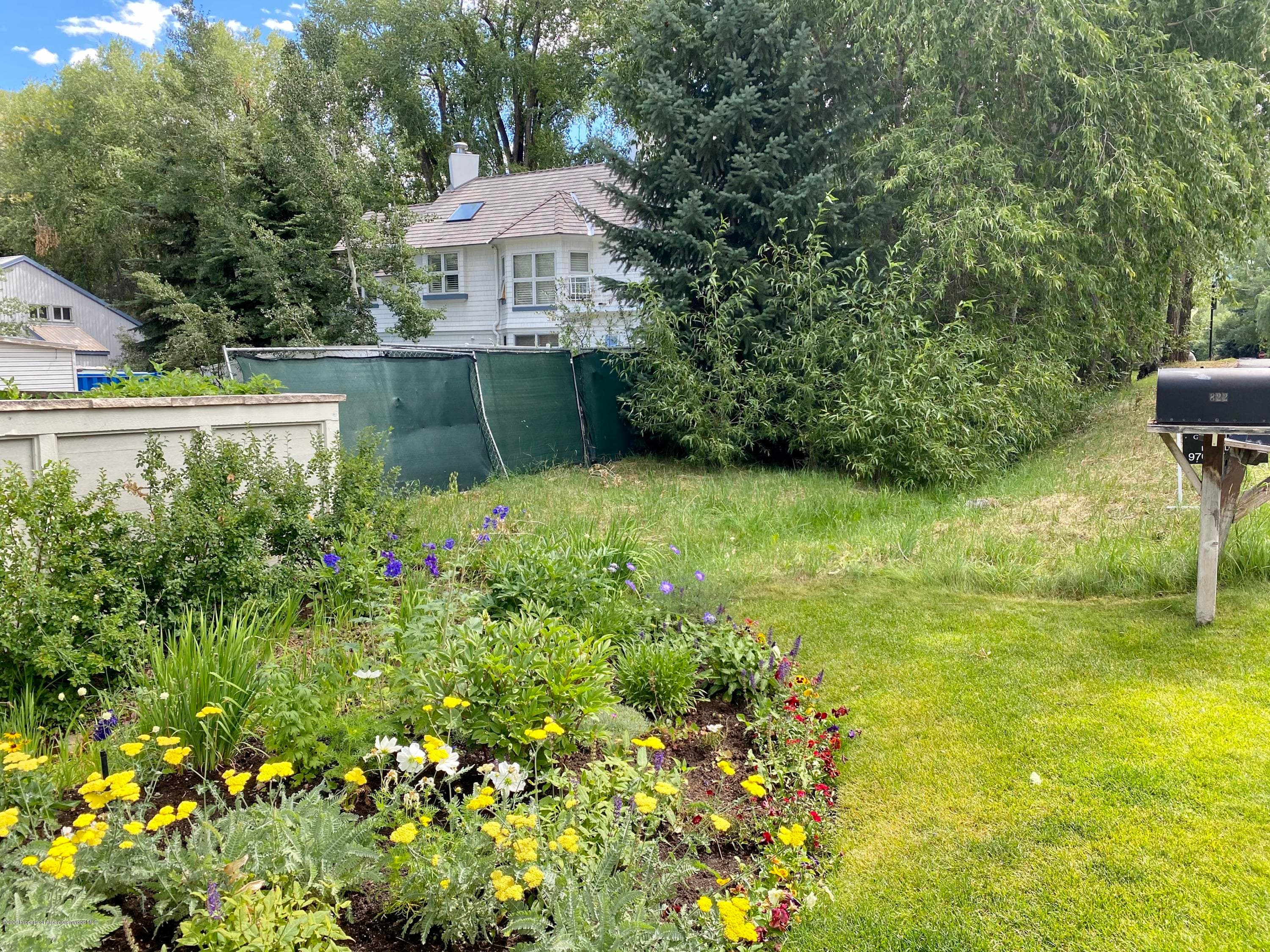 810 W Smuggler Street, Aspen, CO 81611 - Photo 4
