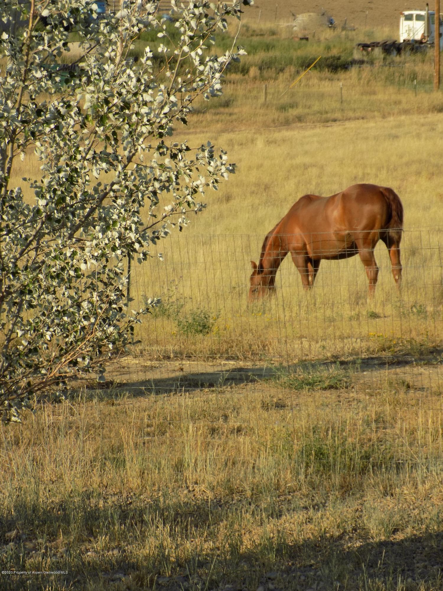 1600 County Road 30, Craig, CO 81625 - Photo 47
