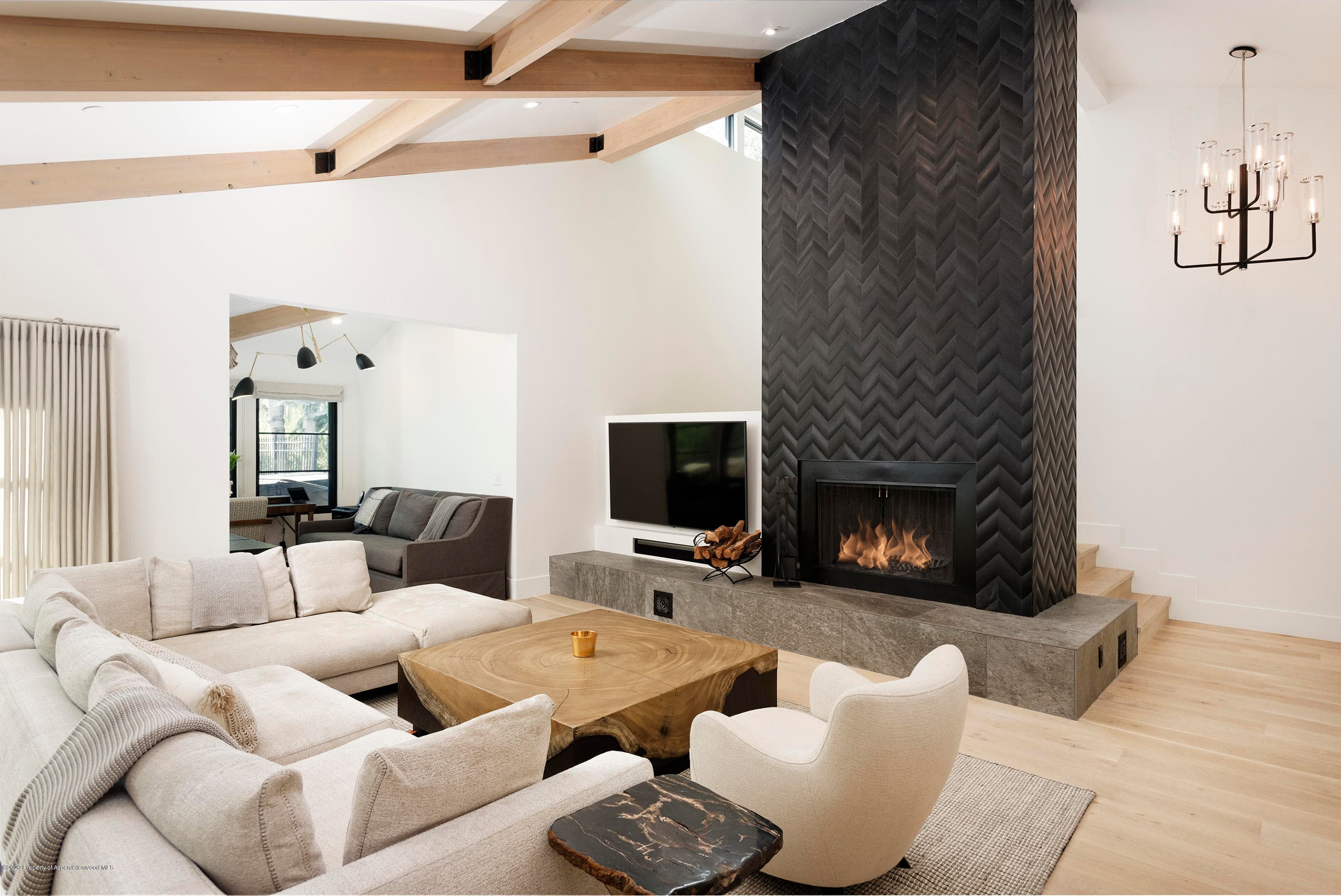 735 Castle Creek Drive 1, Aspen, CO 81611 - Photo 15