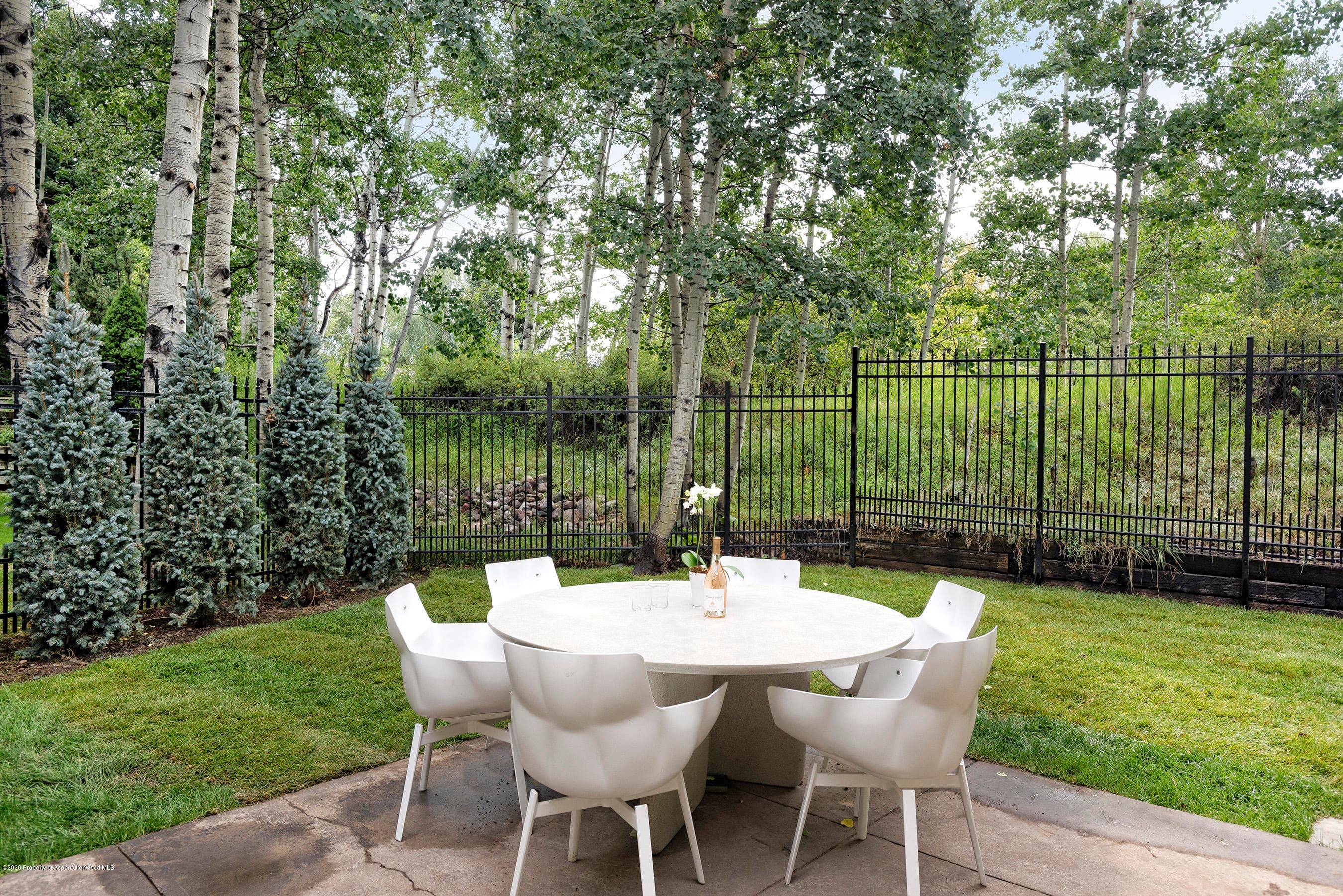 735 Castle Creek Drive 1, Aspen, CO 81611 - Photo 33