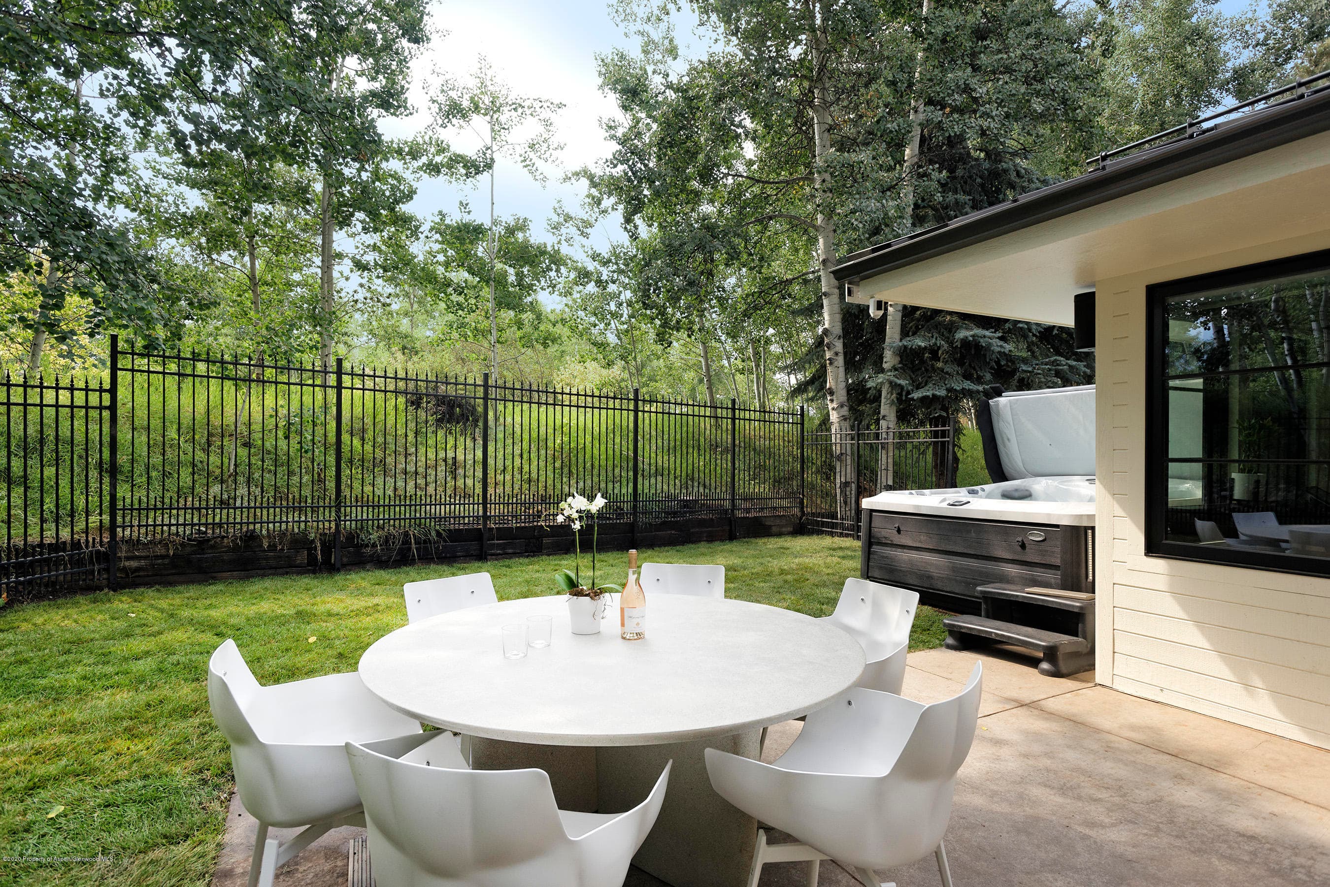 735 Castle Creek Drive 1, Aspen, CO 81611 - Photo 34