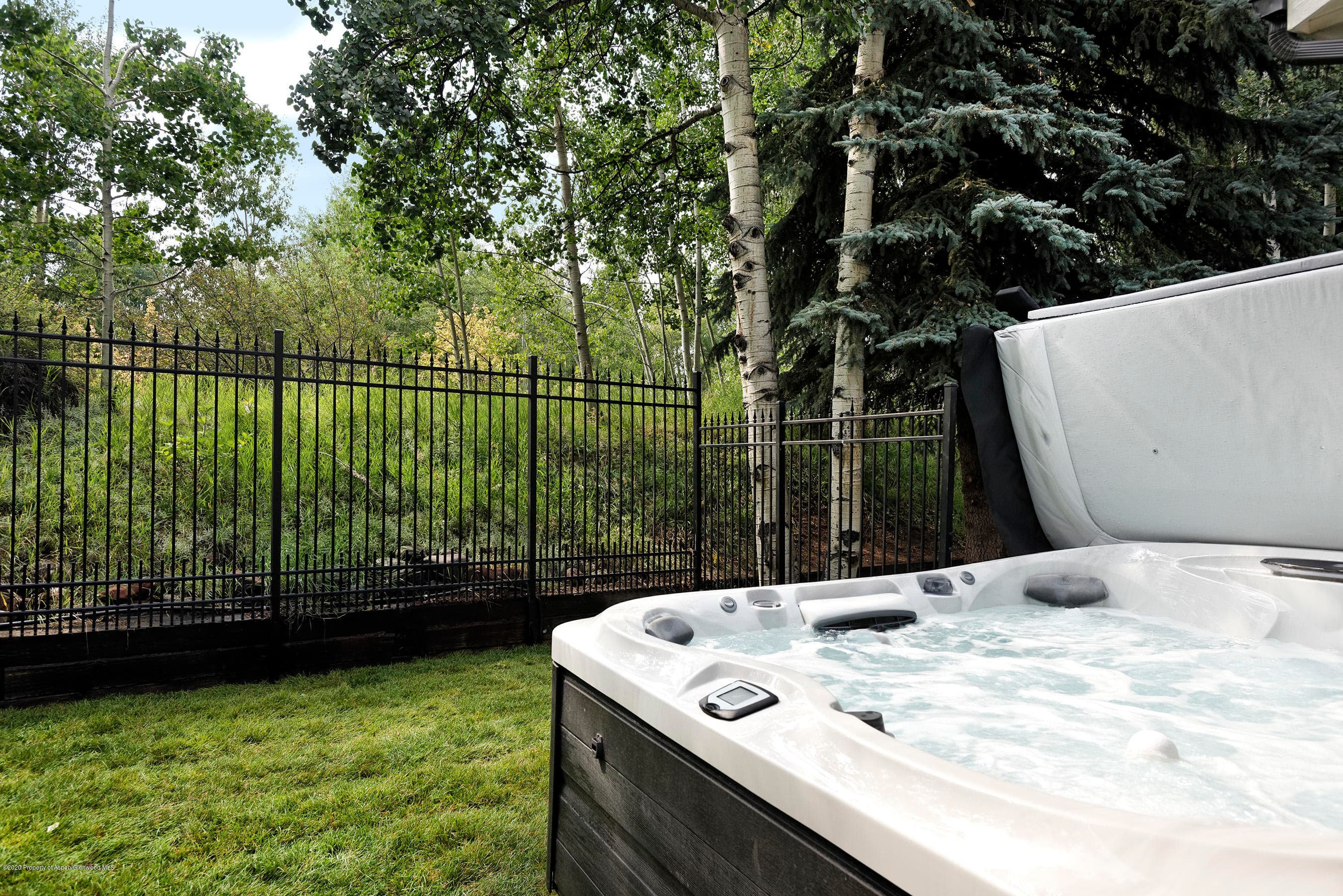 735 Castle Creek Drive 1, Aspen, CO 81611 - Photo 35
