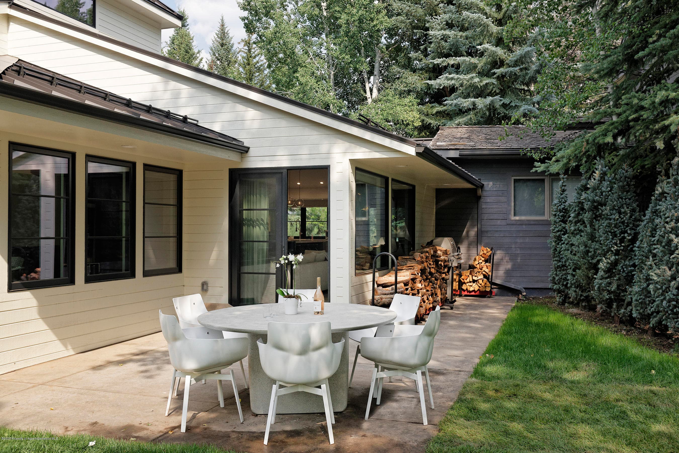735 Castle Creek Drive 1, Aspen, CO 81611 - Photo 38