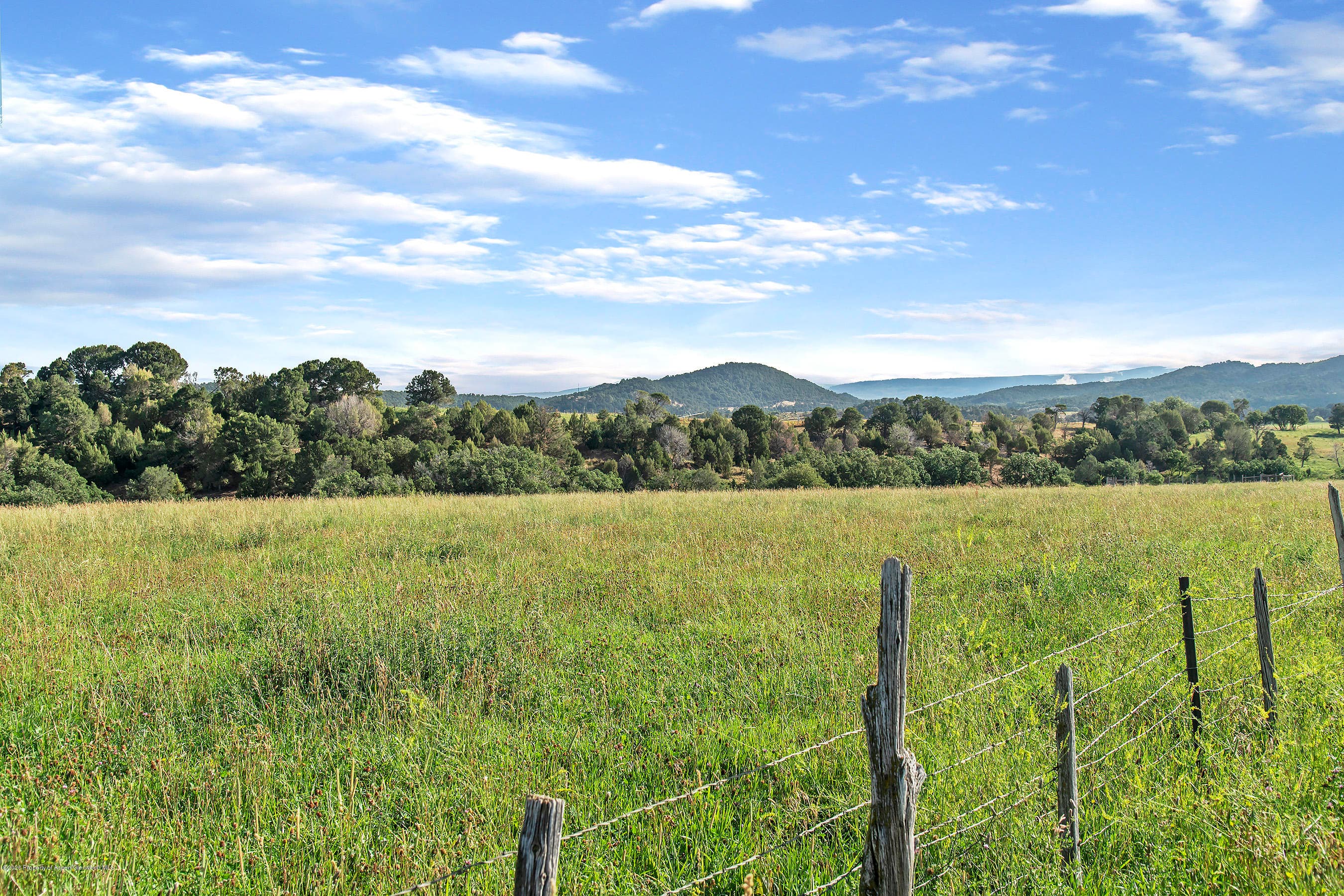 1634 Prince Creek Road, Carbondale, CO 81623 - Photo 28