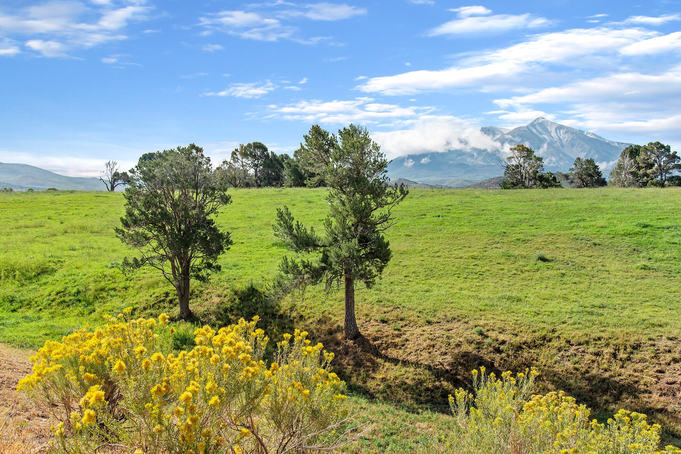 1634 Prince Creek Road, Carbondale, CO 81623 - Photo 30