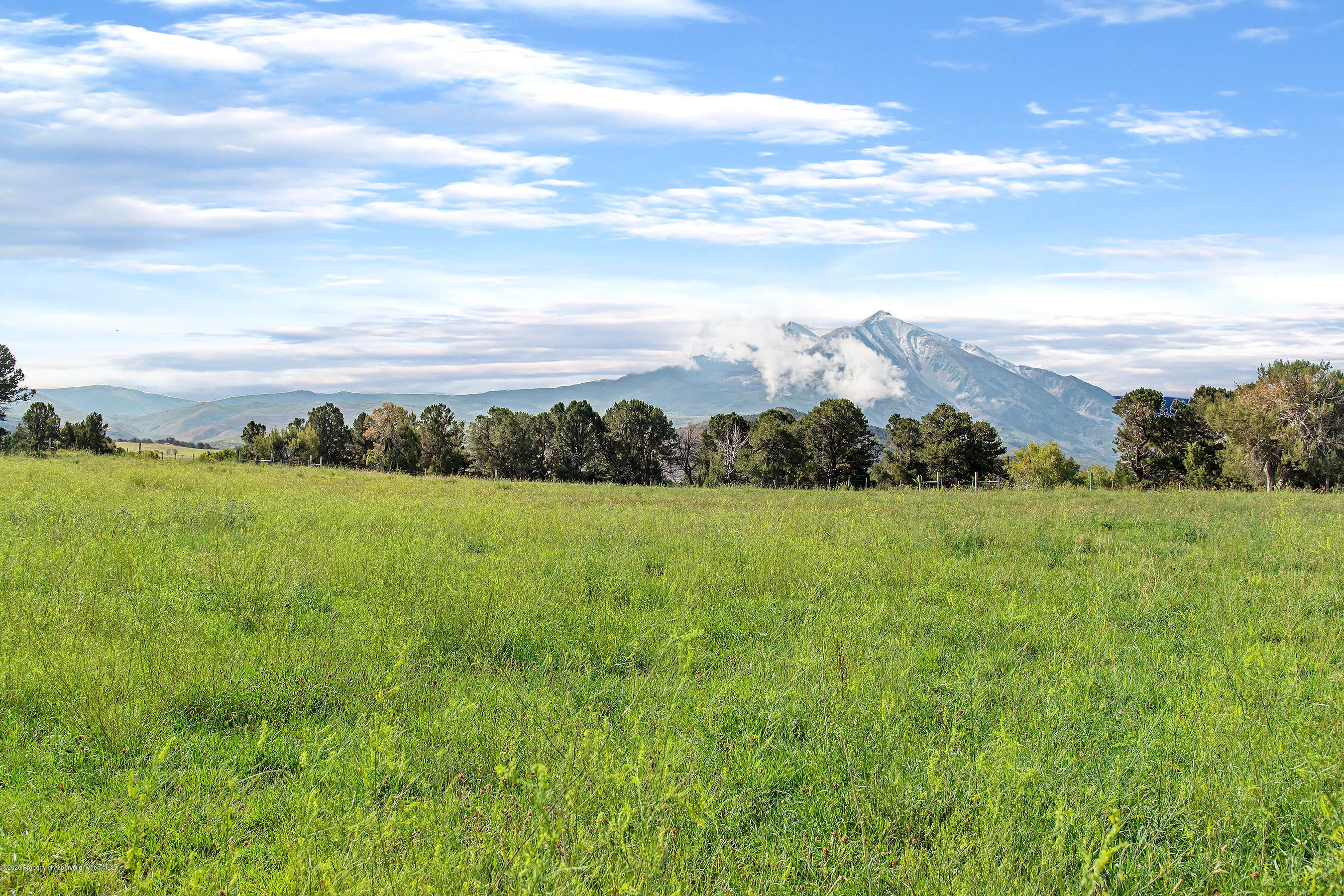 1634 Prince Creek Road, Carbondale, CO 81623 - Photo 32
