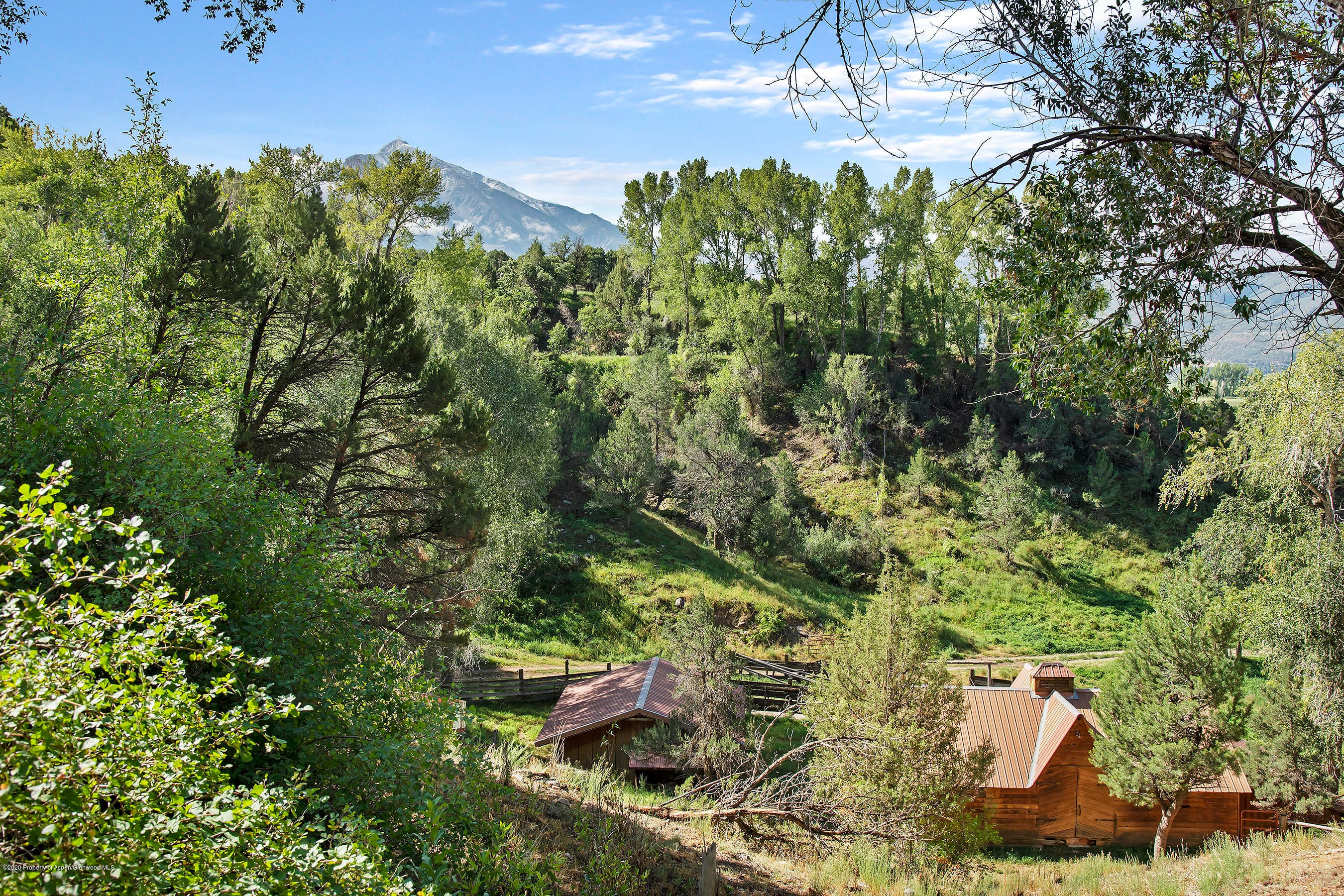 1634 Prince Creek Road, Carbondale, CO 81623 - Photo 34