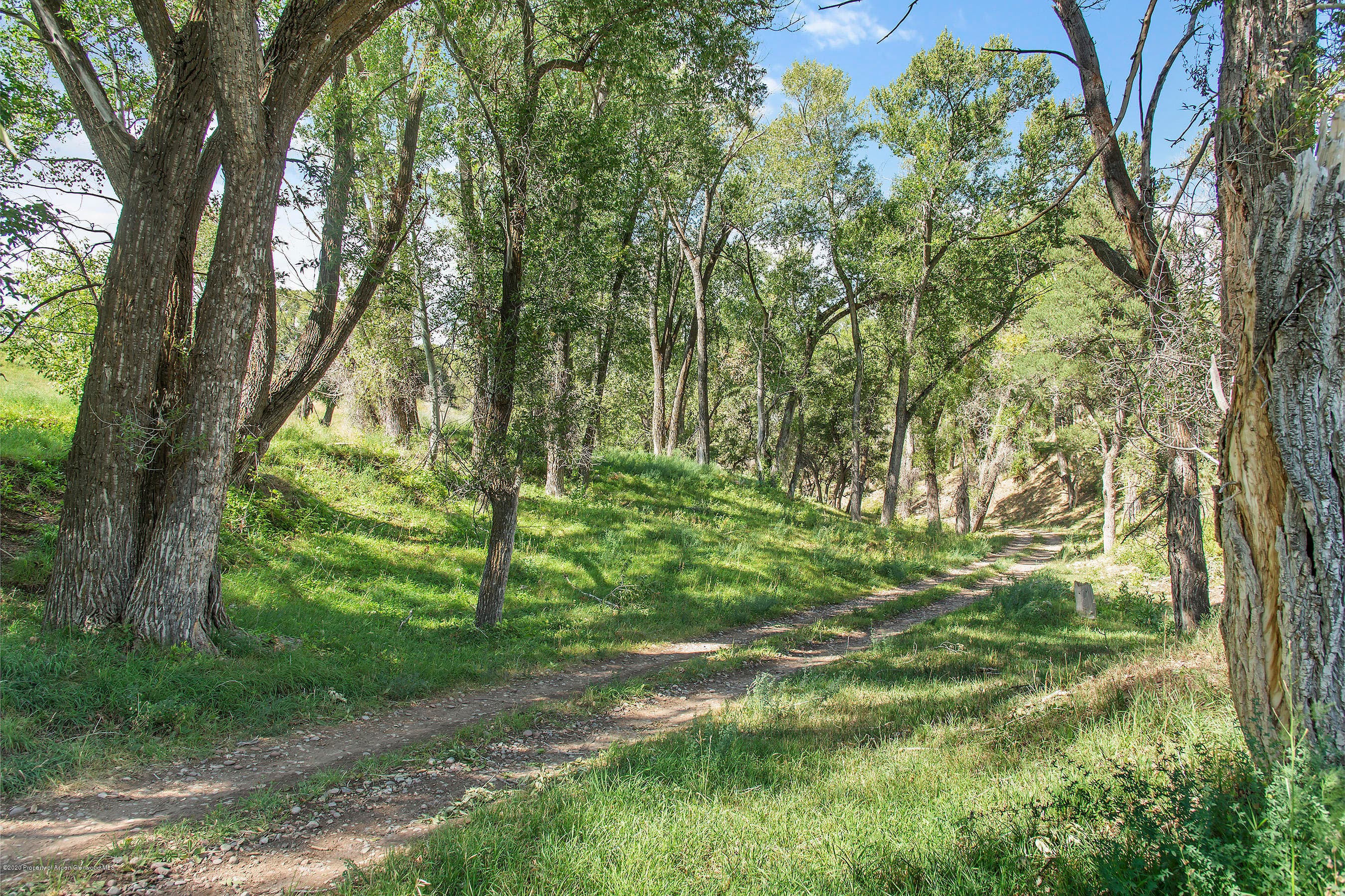 1634 Prince Creek Road, Carbondale, CO 81623 - Photo 44